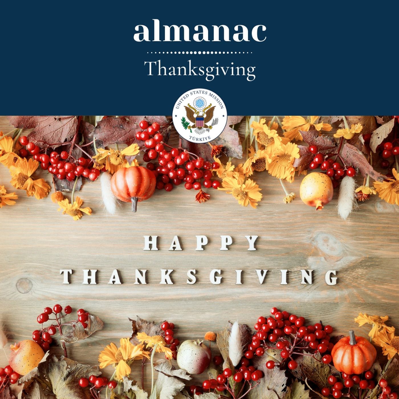 Thanksgiving episode artwork