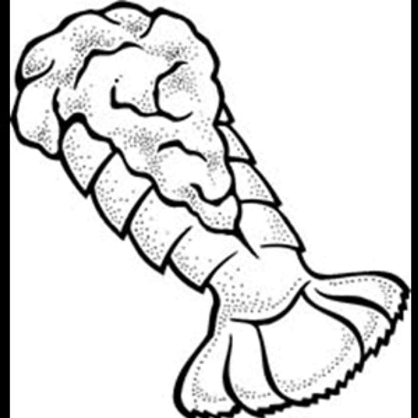 Lobster Tails episode artwork
