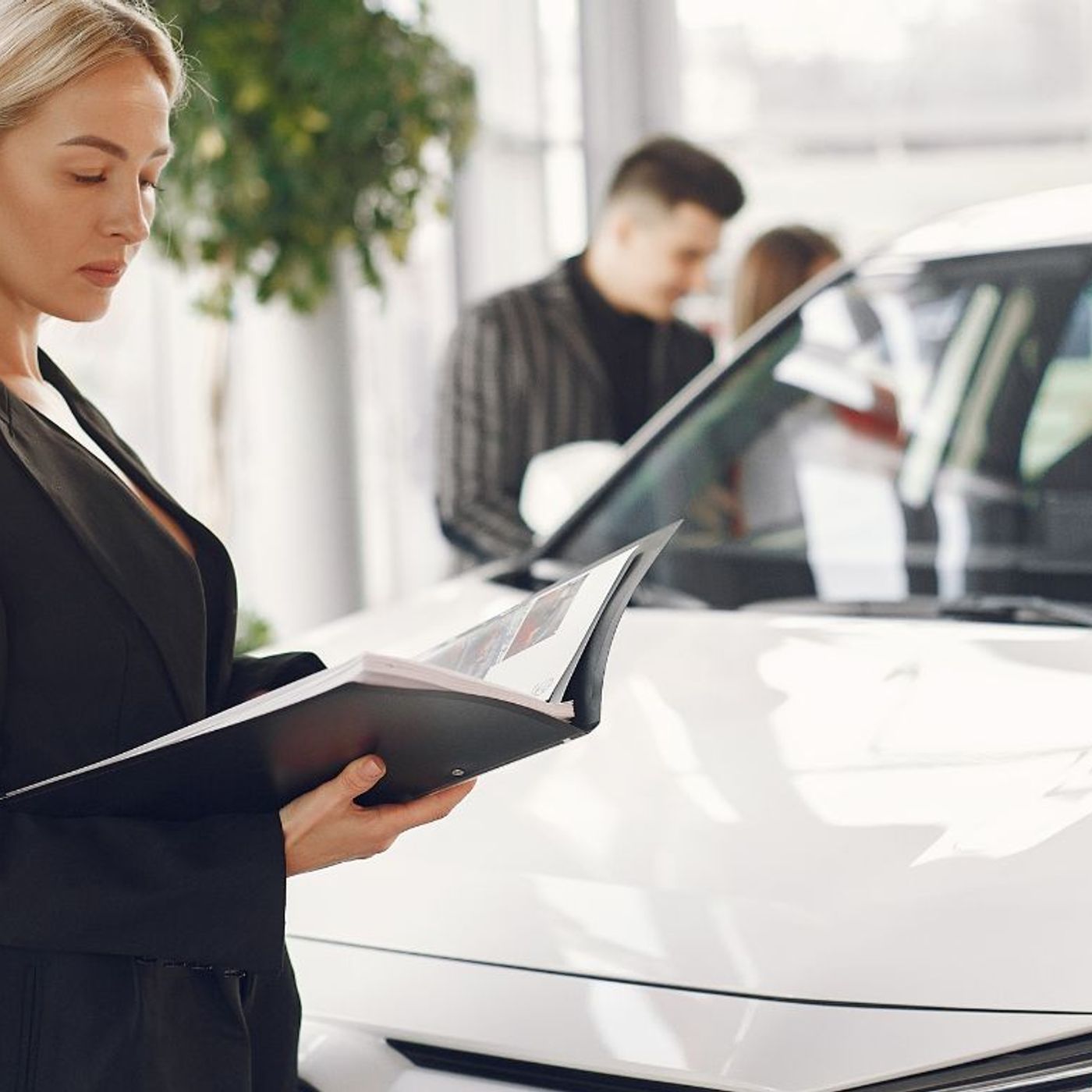 Fordonshistorik och bilkontroll