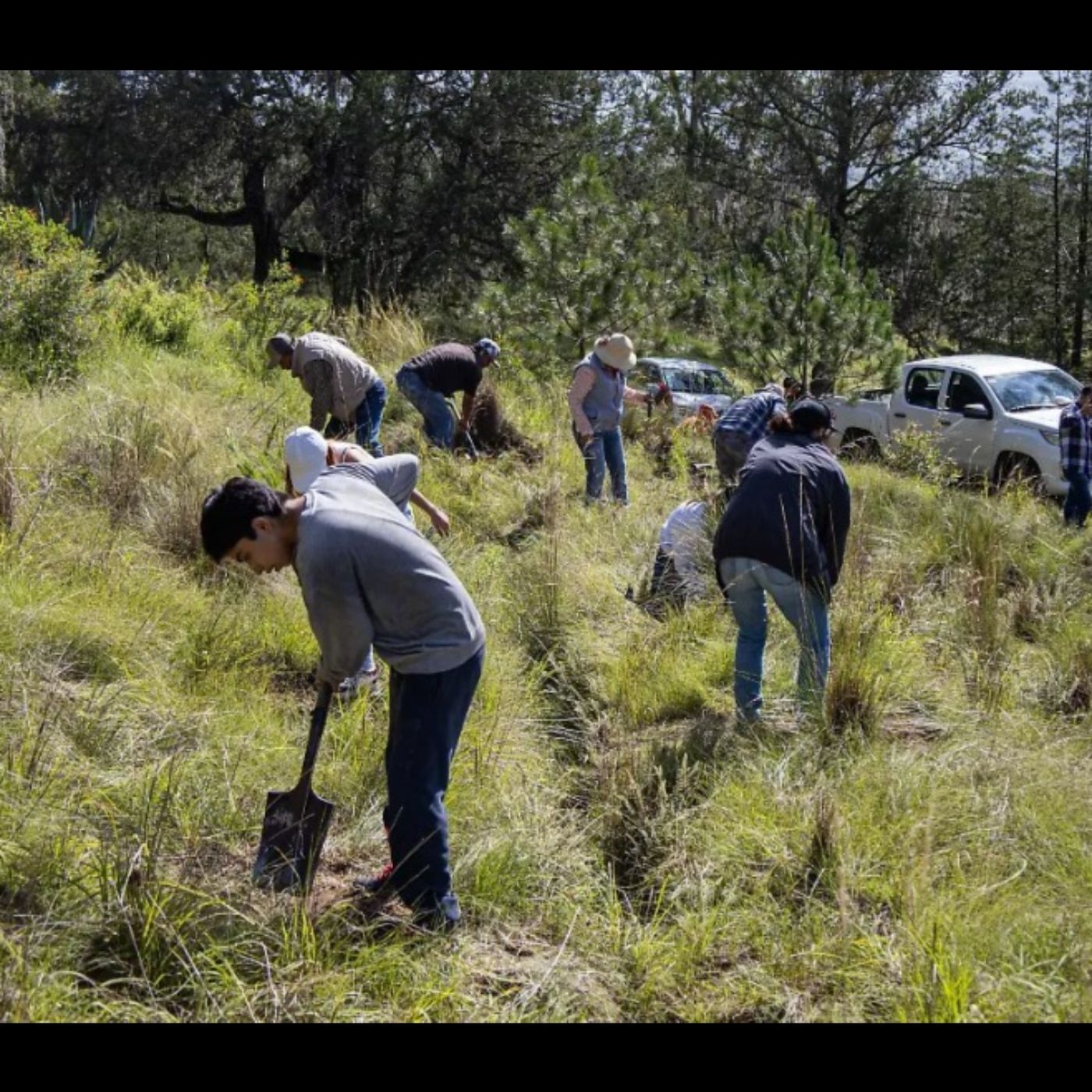 Peligrosa.mx ObjetivoAM Noticias