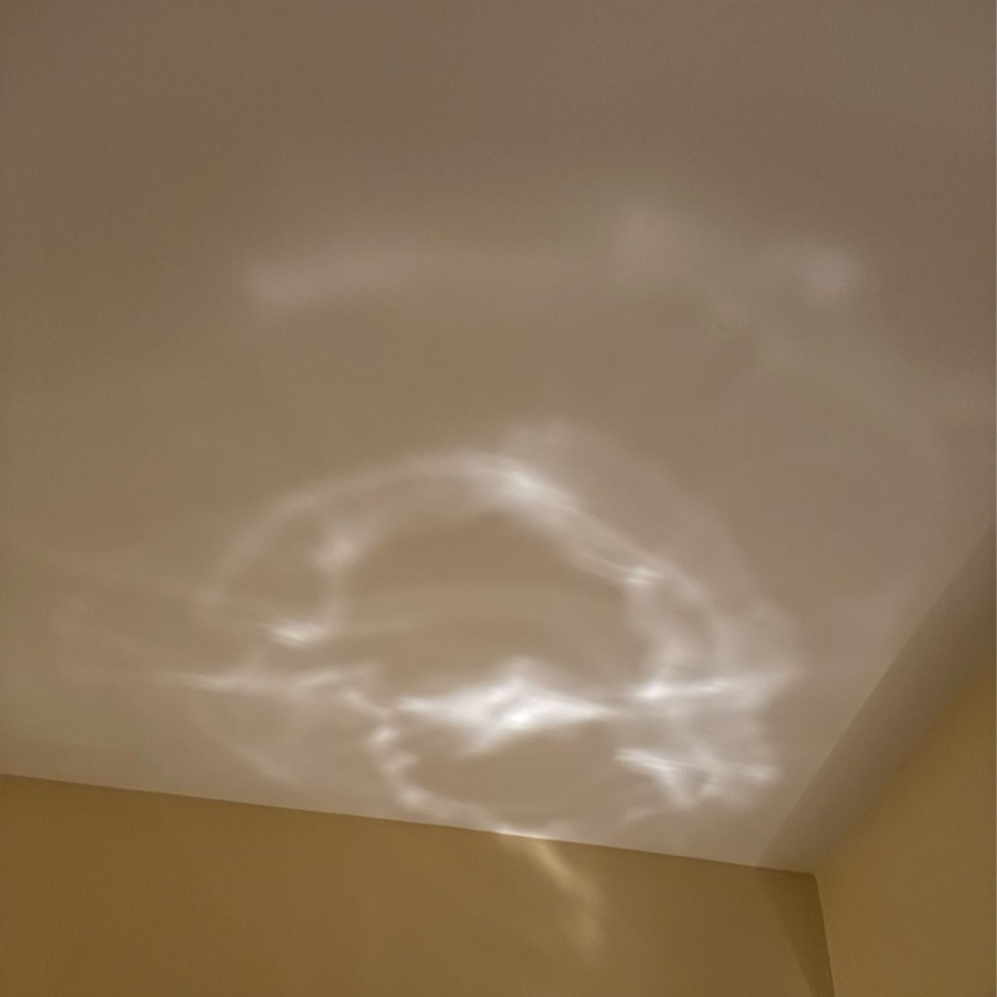 Episode 178 - Positivity Successor (Need Vs Want?)