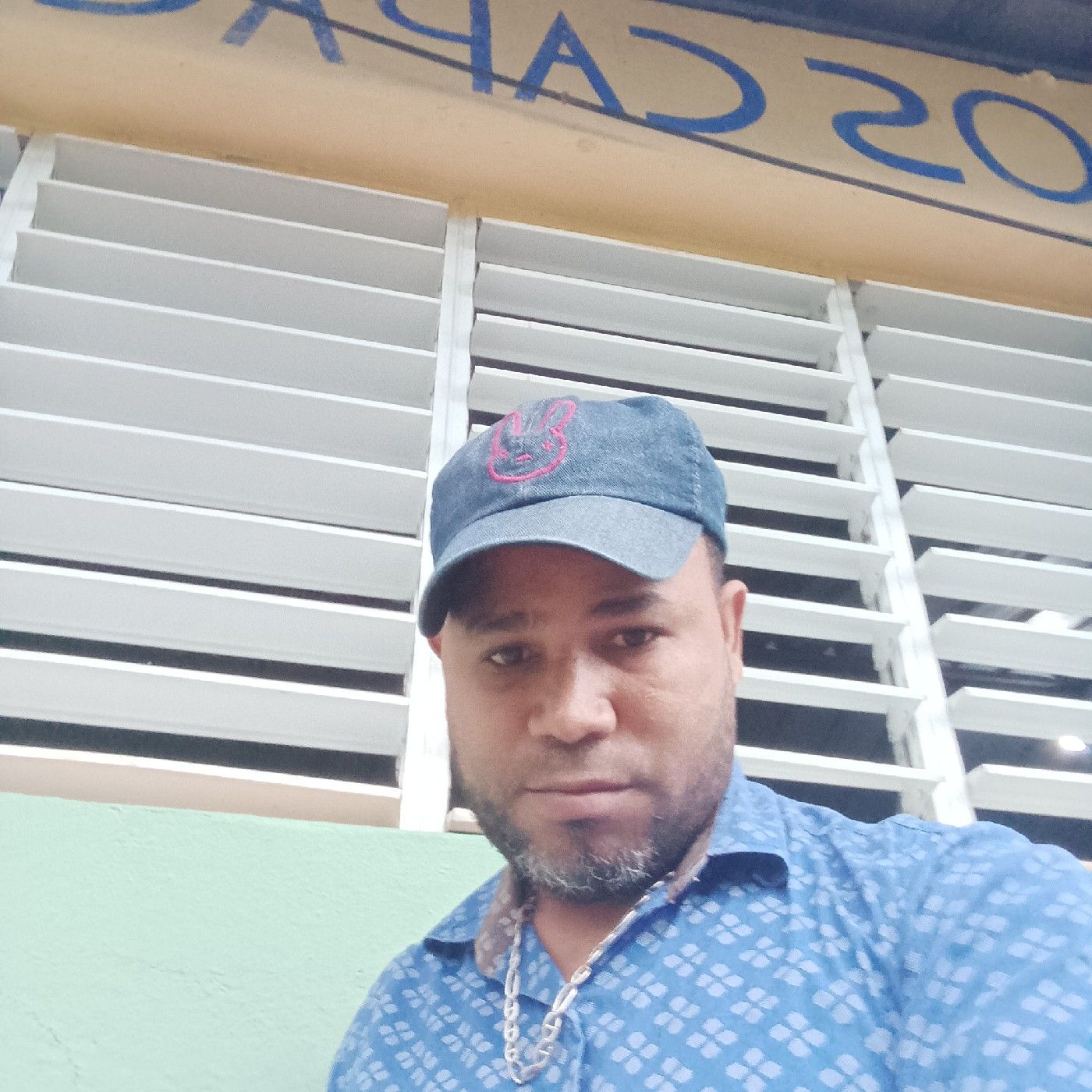 Enfoques del currículo