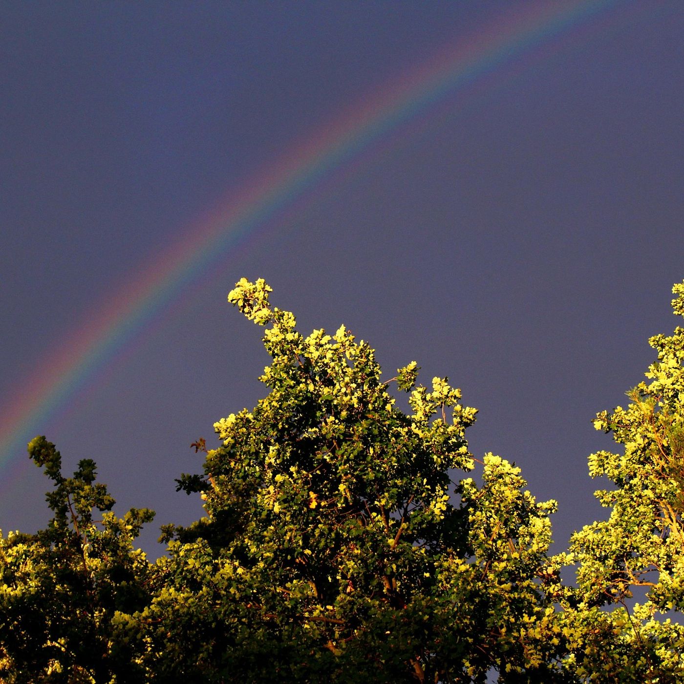 Spectrum