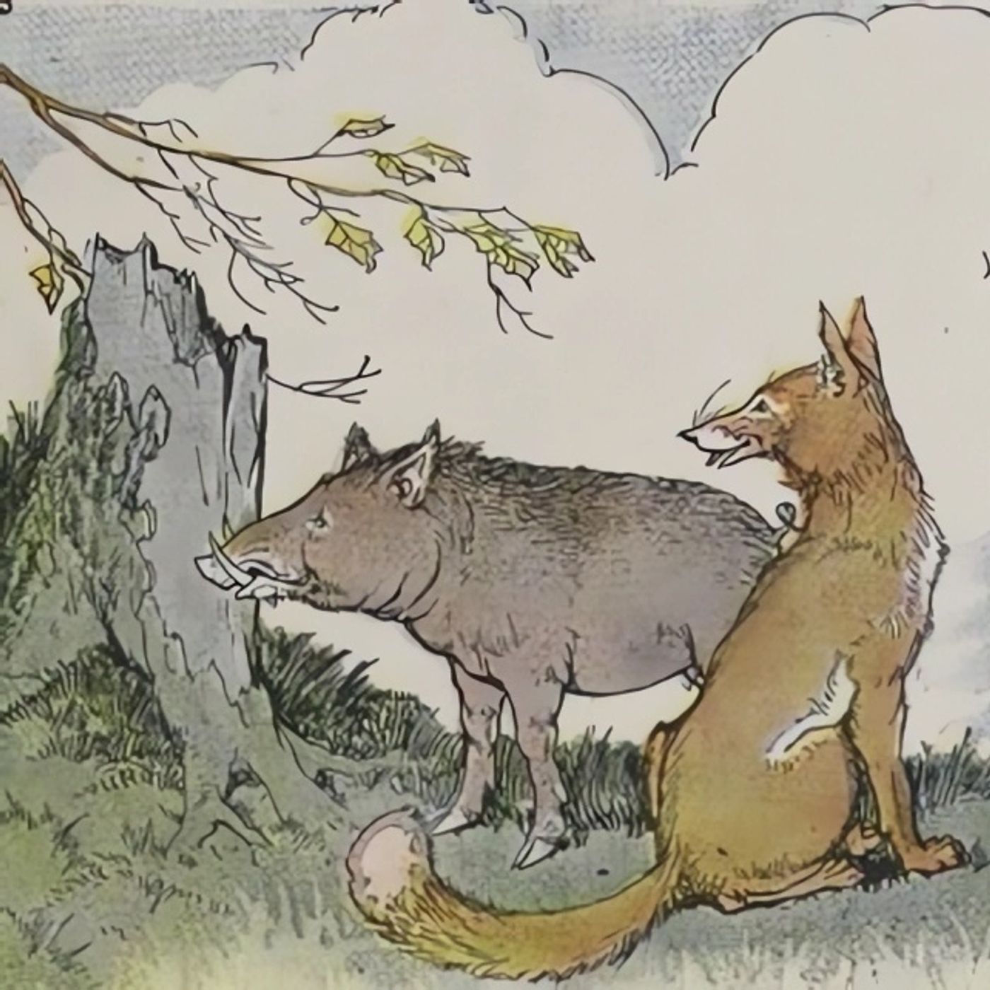 Het Wilde Zwijn en de Vos | Aesopus Fabels episode artwork