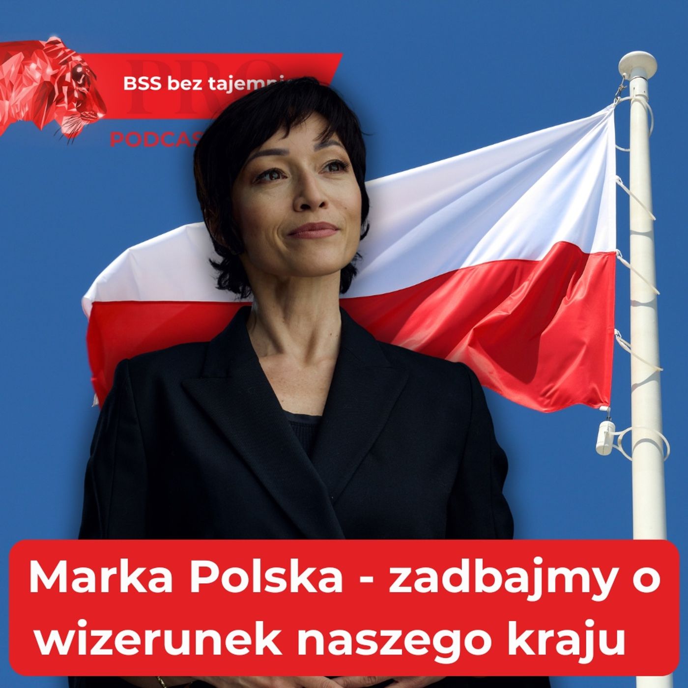 Marka Polska – jak zdefiniować DNA naszego kraju?