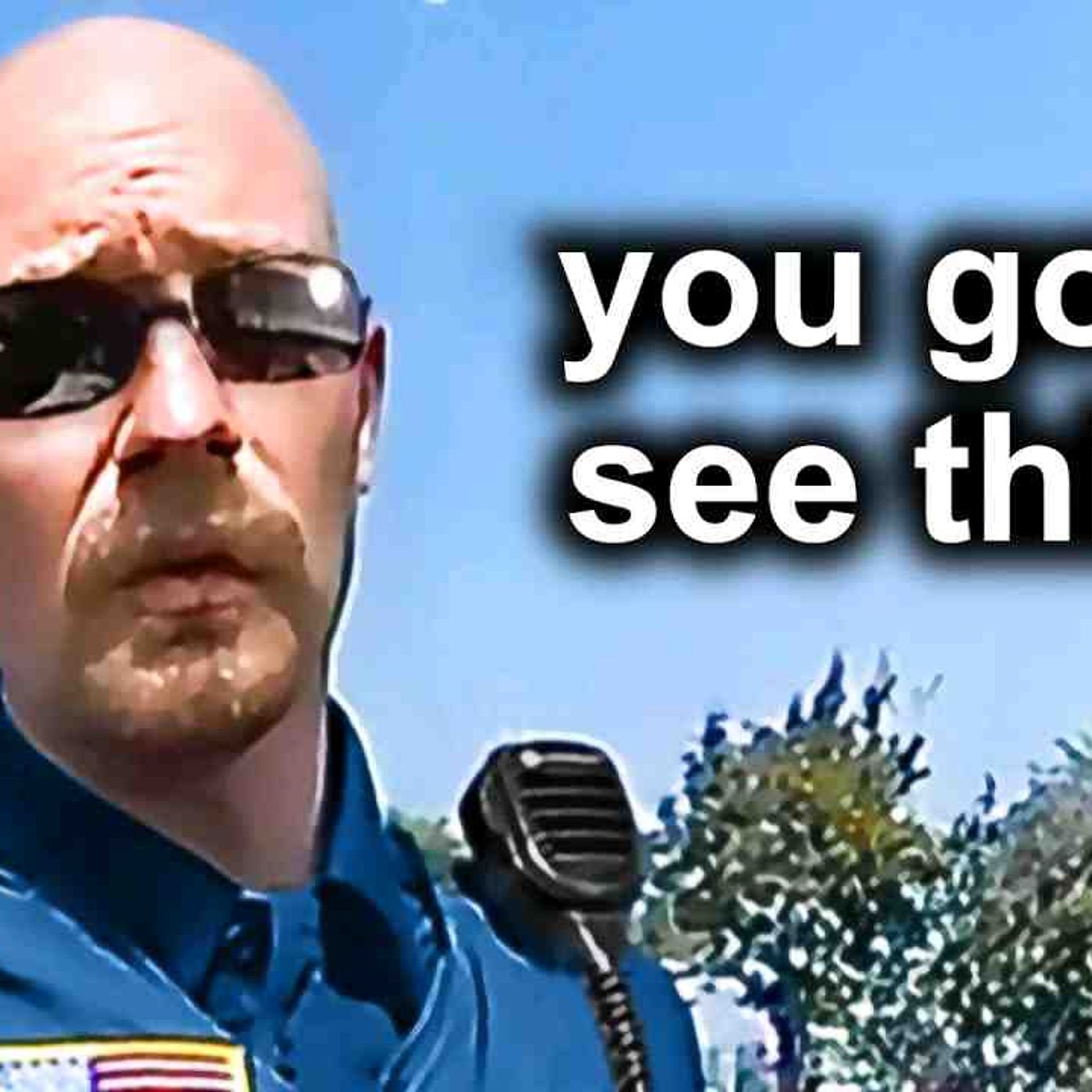 Craziest Police Busts Of ALL TIME.. episode artwork
