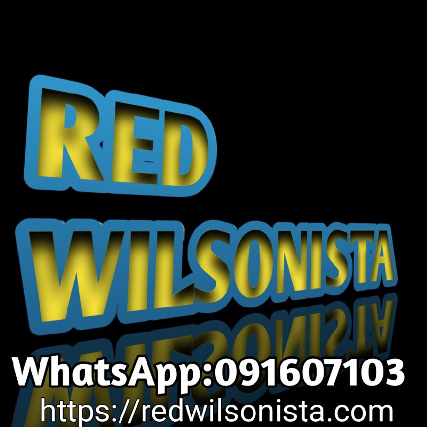 En perspectiva con Red Wilsonista