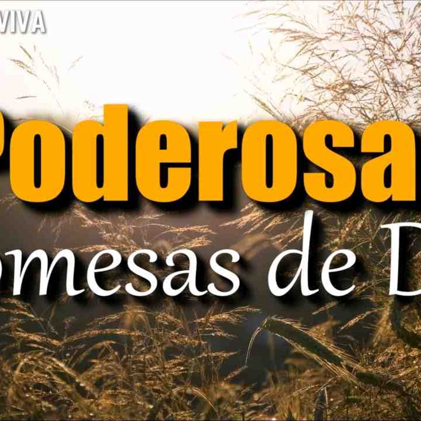 Versículos Bíblicos que cambiaran tu día _ Promesas de Dios _ Recibe Paz y Fe con la Palabra de Dios(MP3_160K)_4 episode artwork