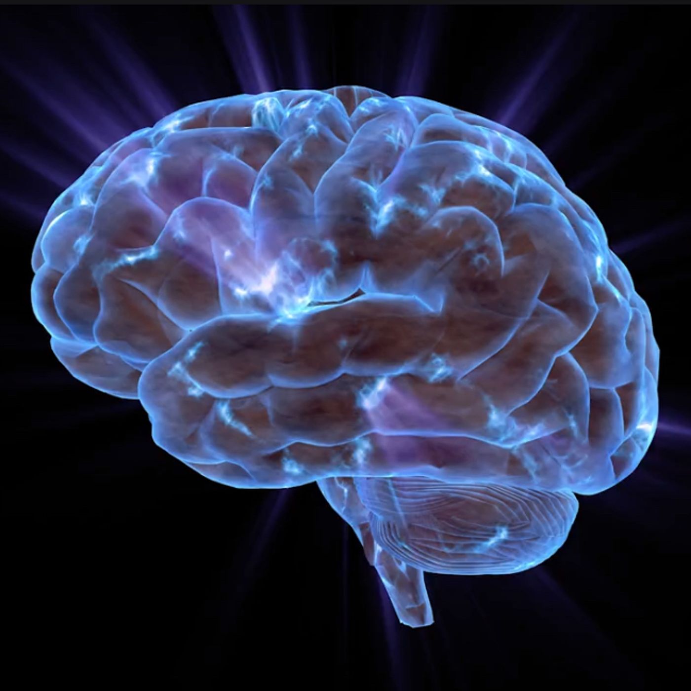 S56E12: When You Think Of It It’s Phenomenal As A Piece Of Organ Tissue - Trevor Gear On The Human Brain