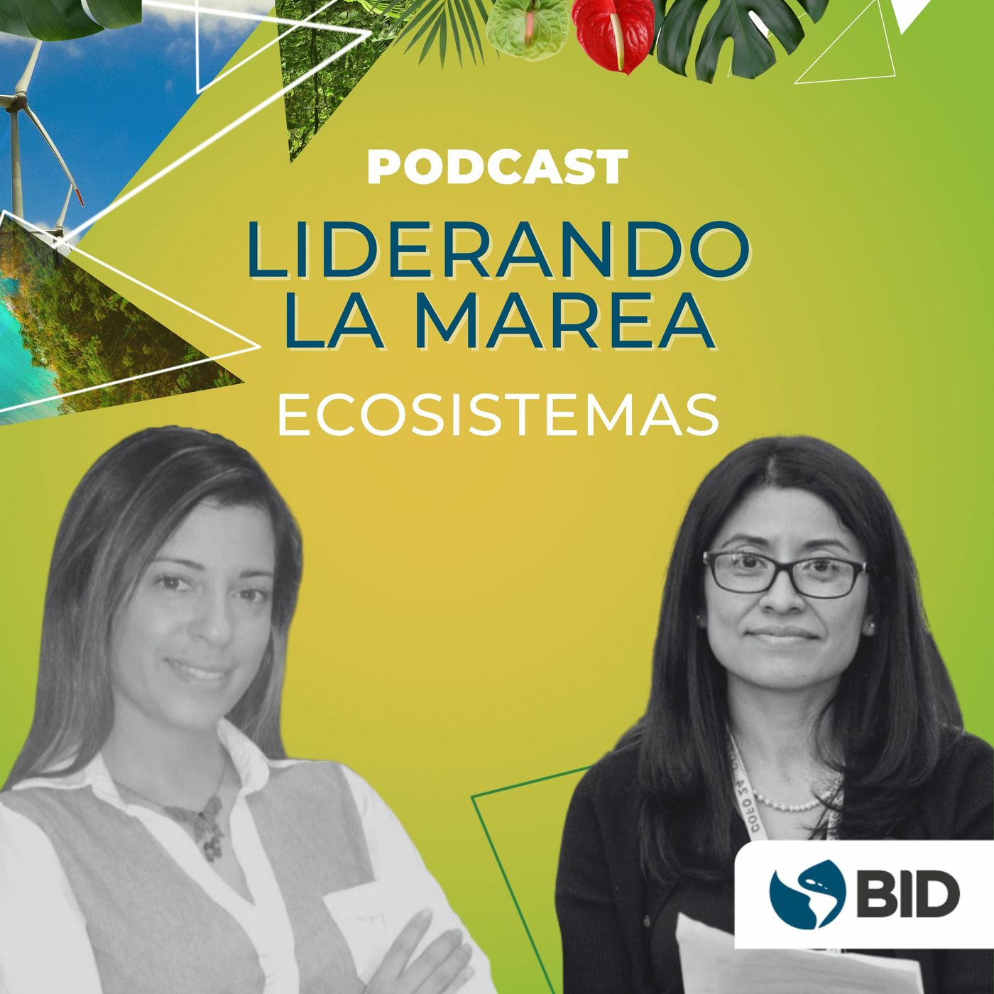 Banco Interamericano de Desarrollo