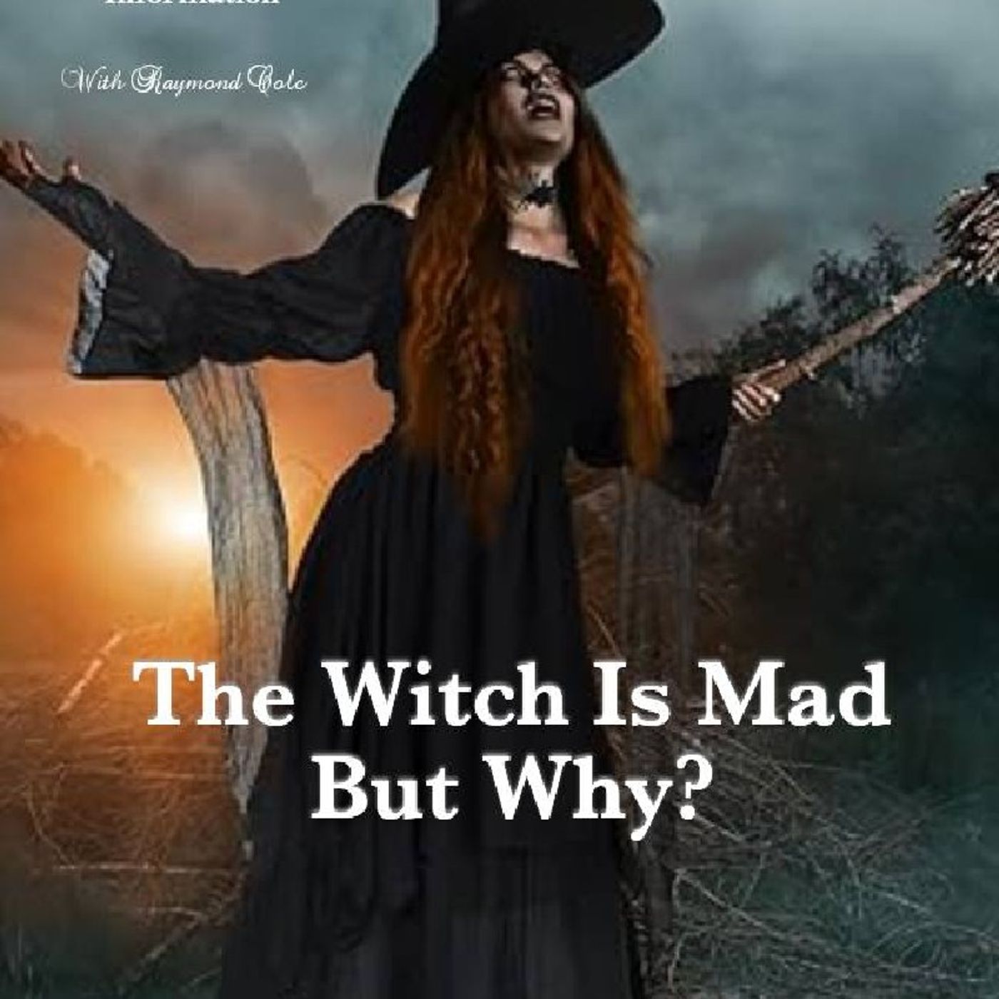 The Witch Is Mad But Why? episode artwork