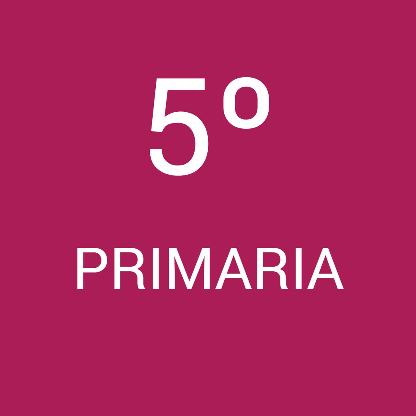 5º de Pimaria