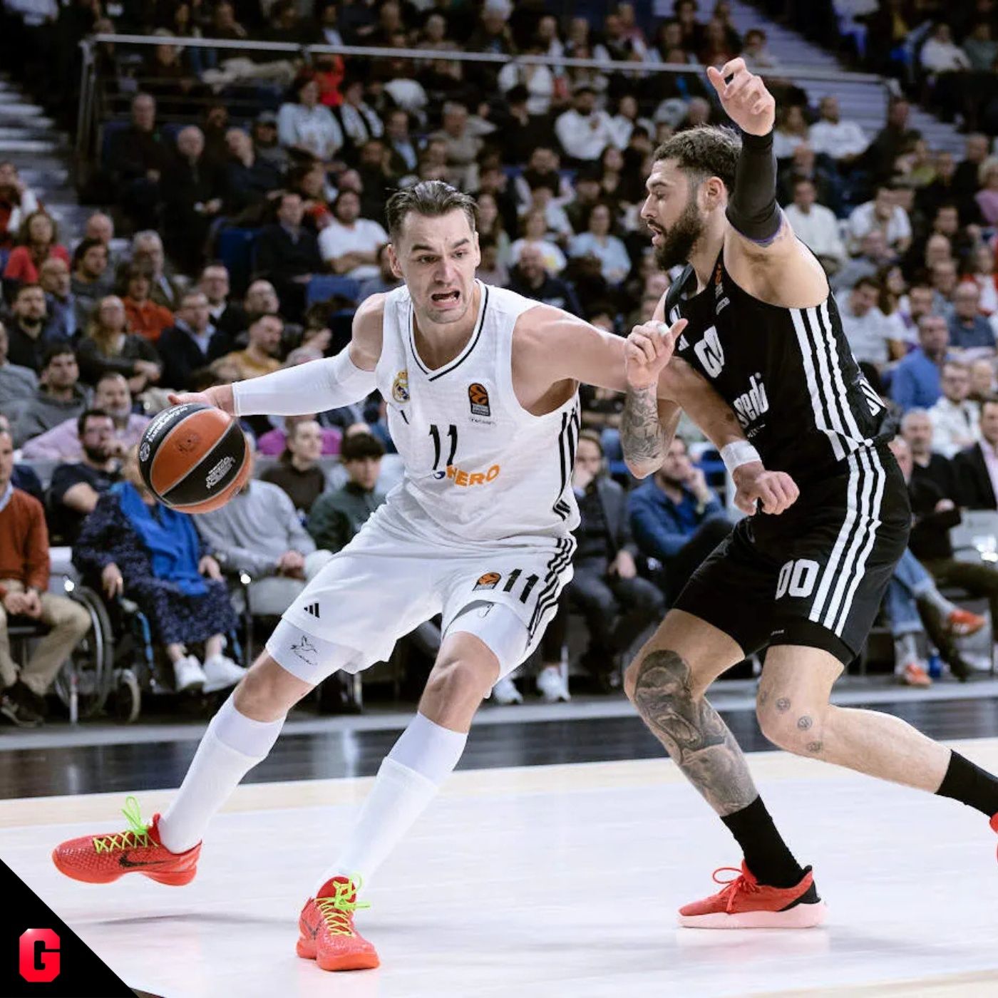 Gigantes Daily, baloncesto al día