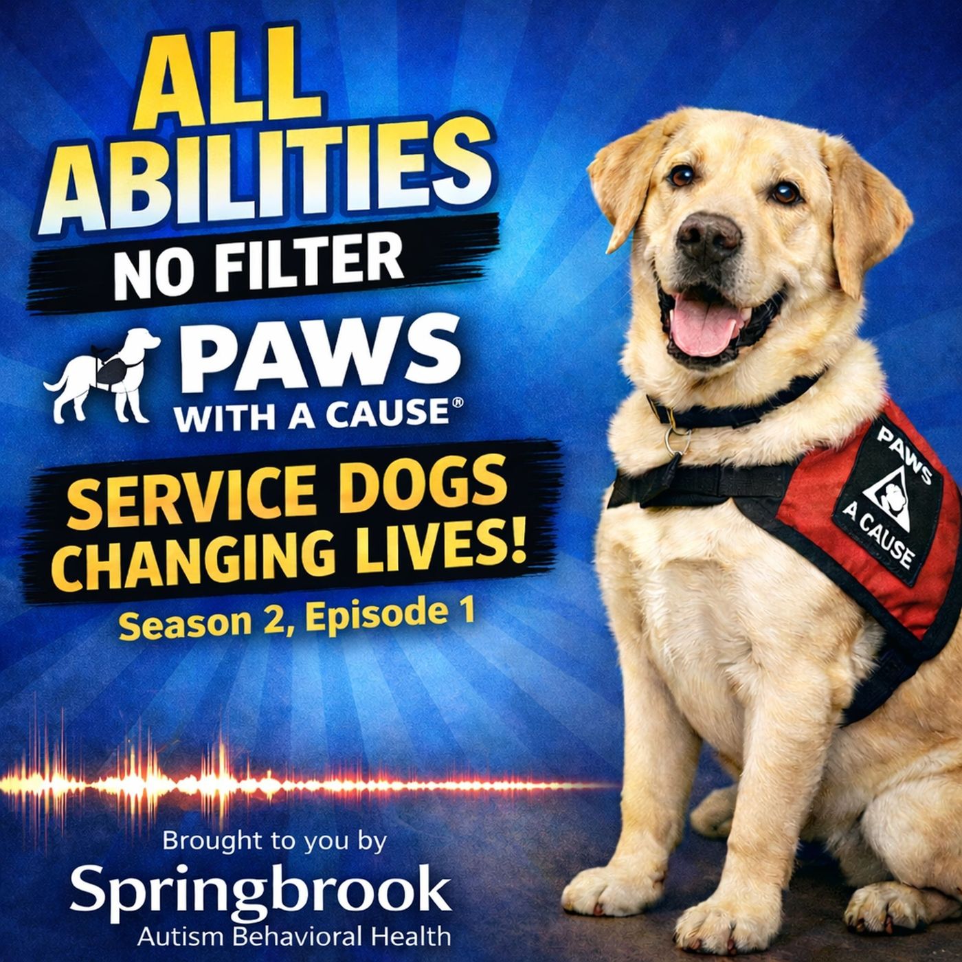 Service Dogs Changing Lives: Inside Paws With a Cause episode artwork