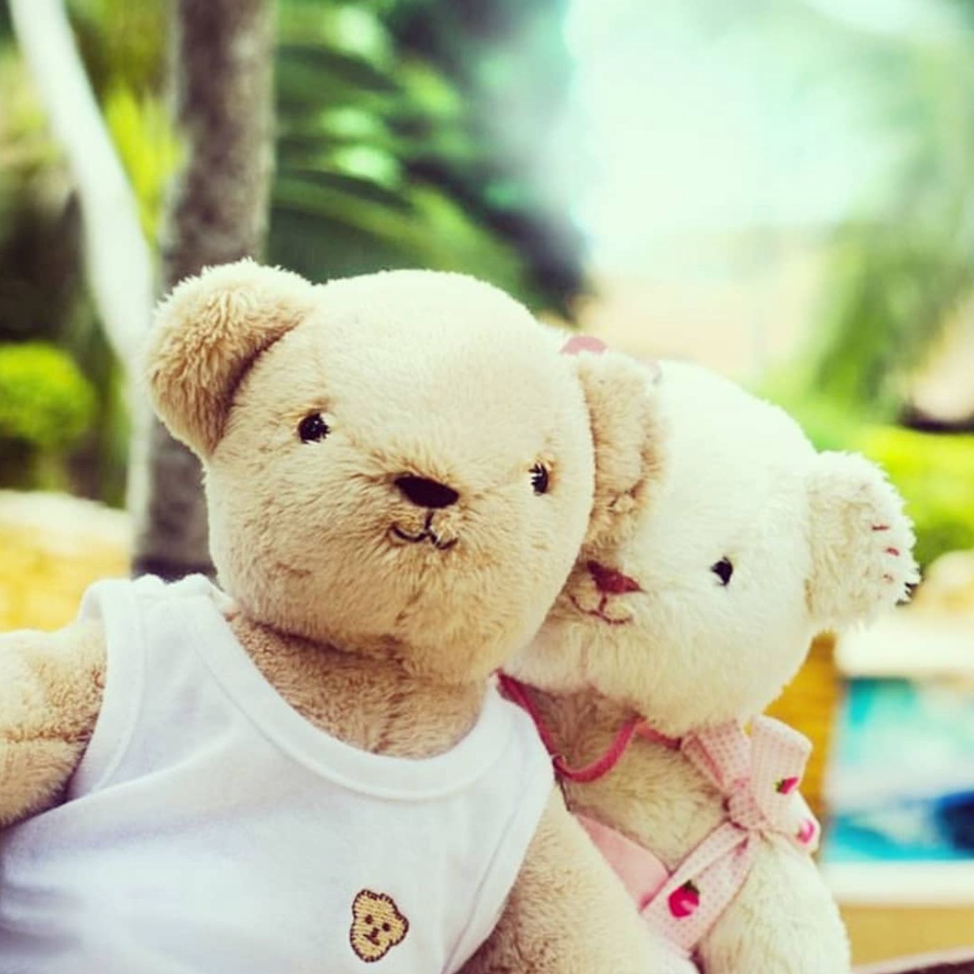 Bearfaced Podcast
