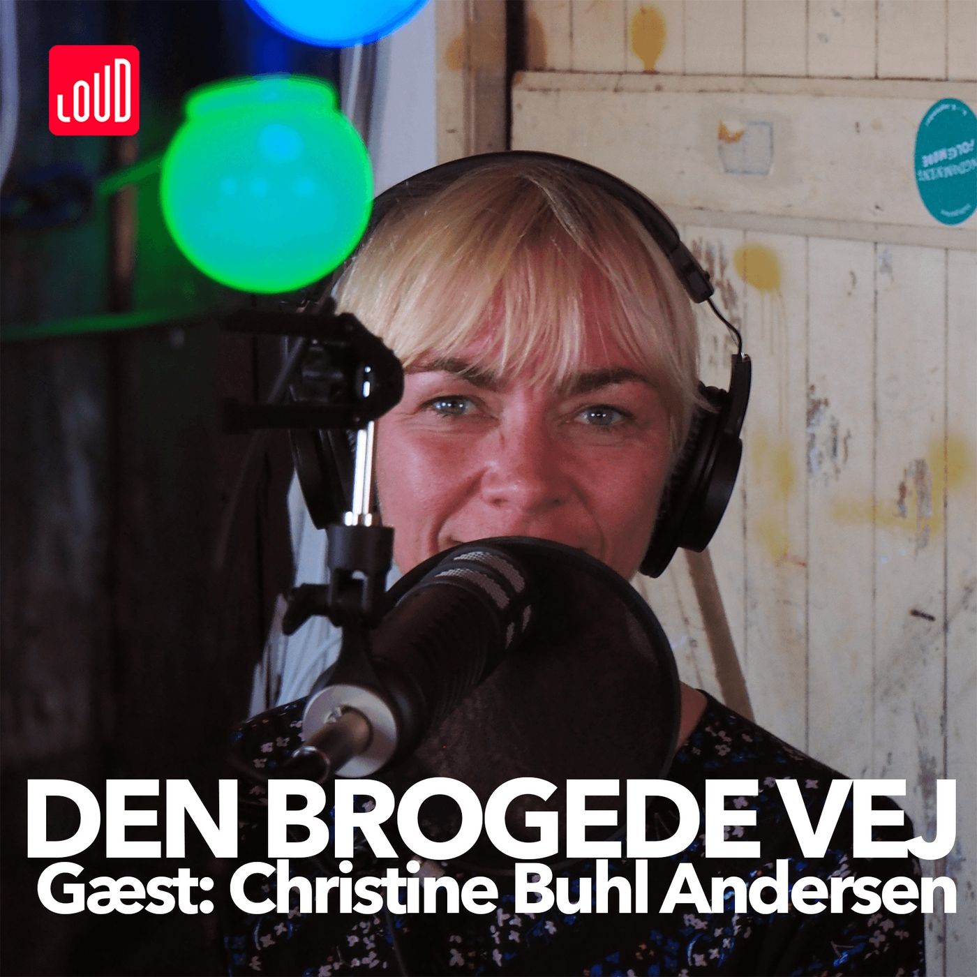 Den Brogede Vej