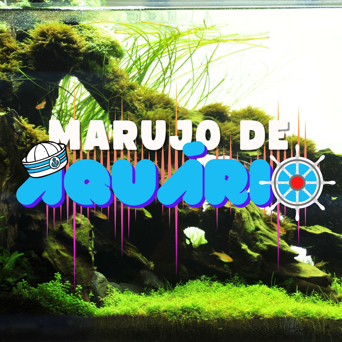 Marujo de Aquário