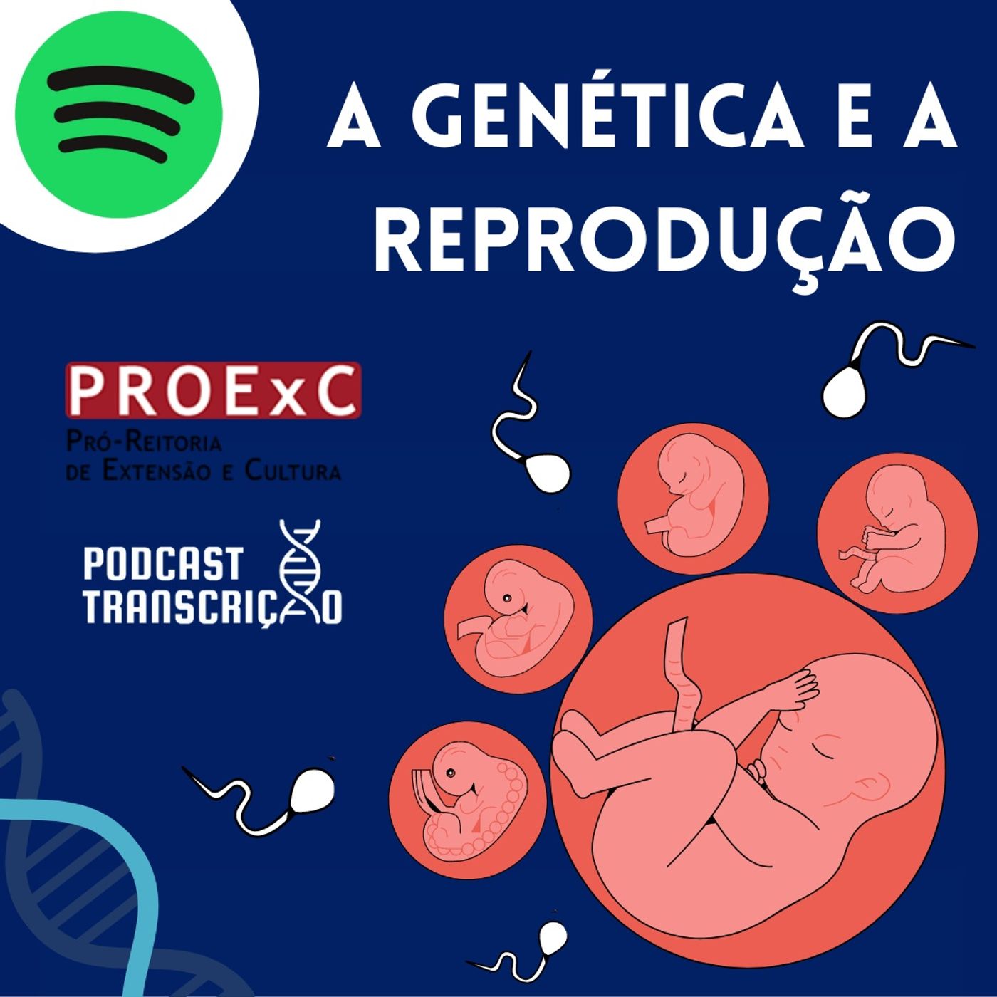 Podcast Transcrição