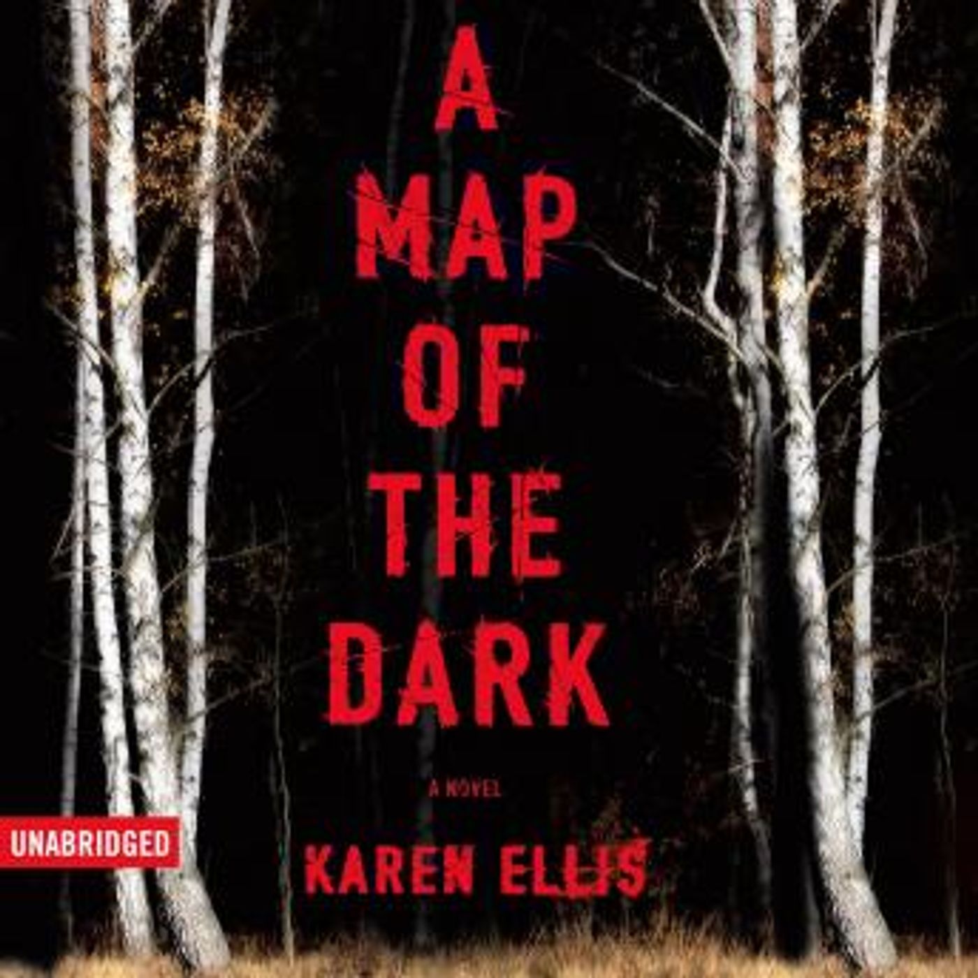 A Map of the Dark by Karen Ellis episode artwork