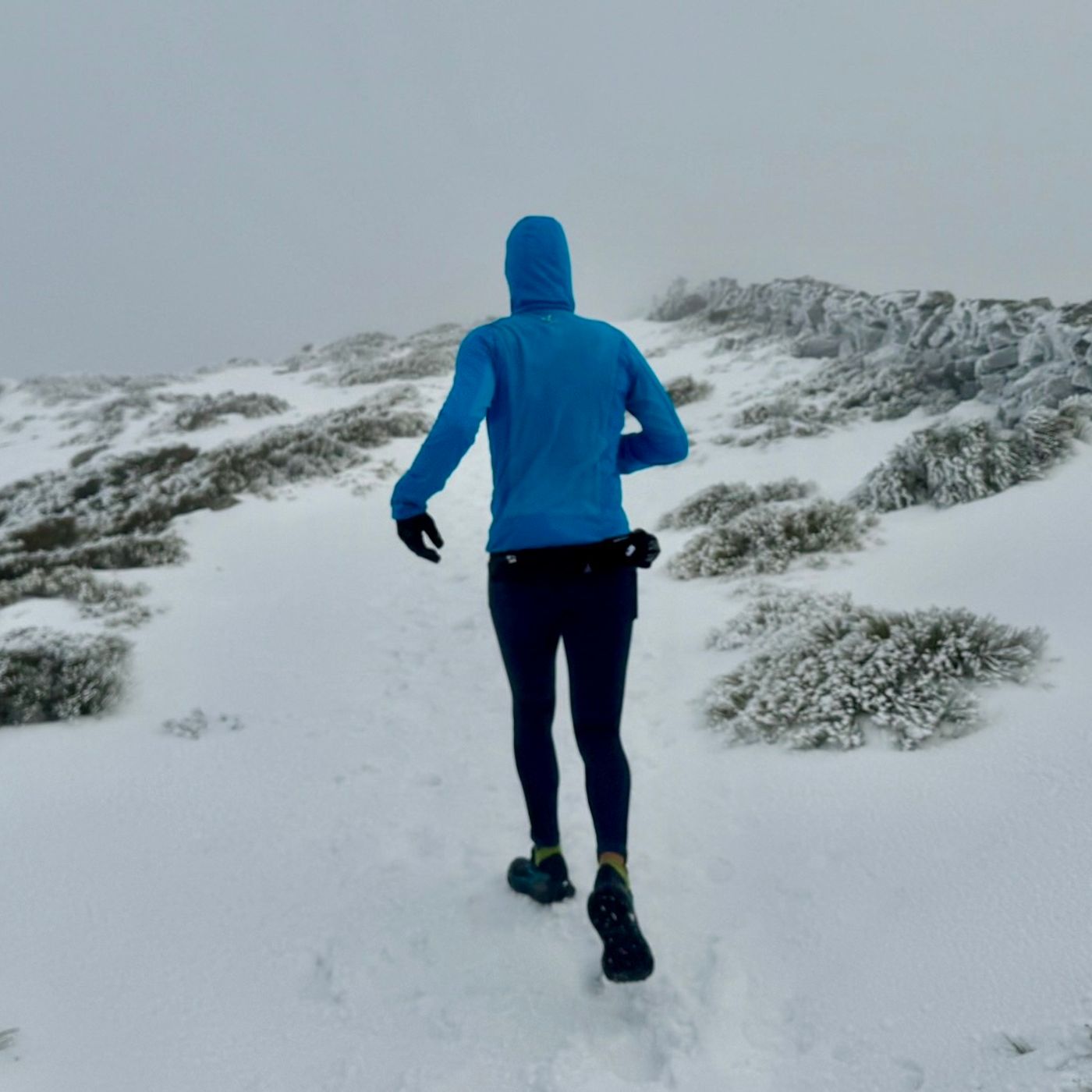 RADIO TRAIL Carreras de Montaña Mayayo
