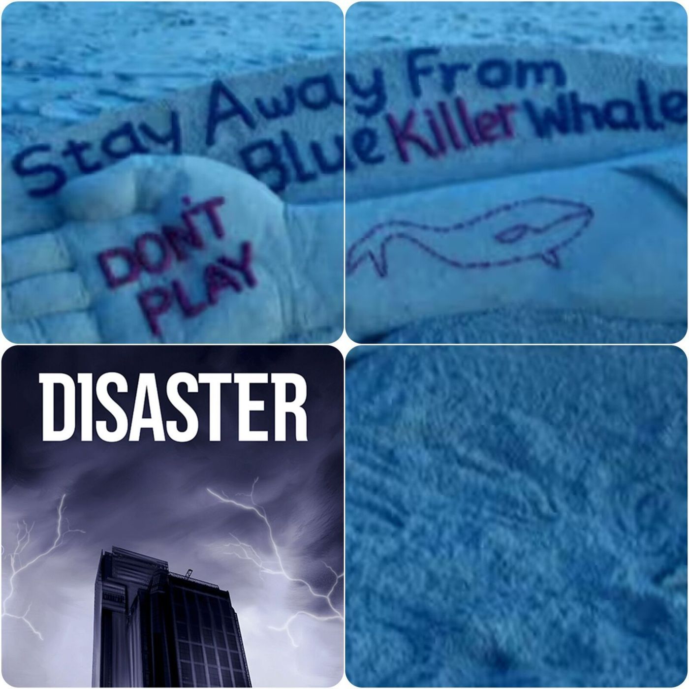 24: Blue Whale