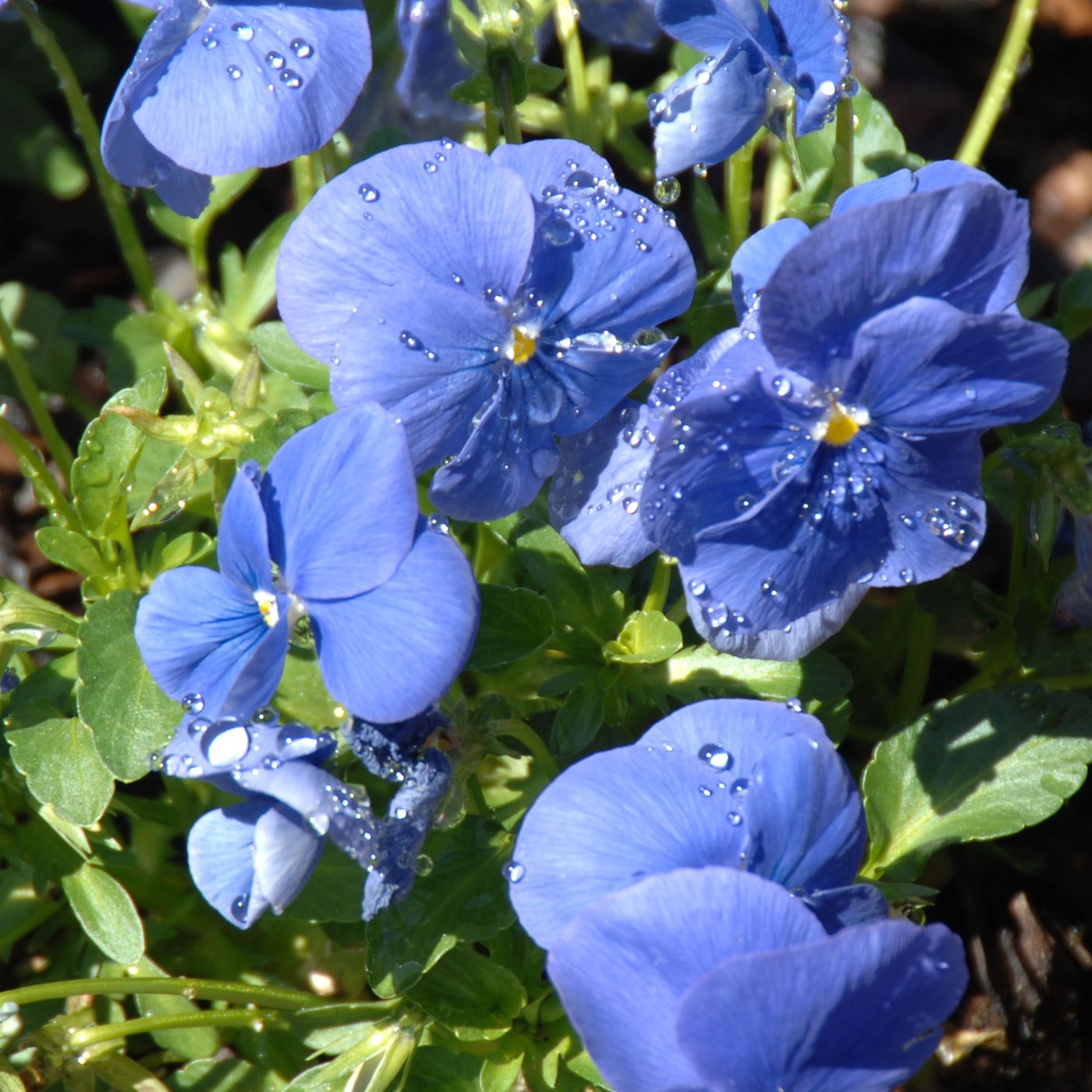 La presencia fortalecedora de Dios