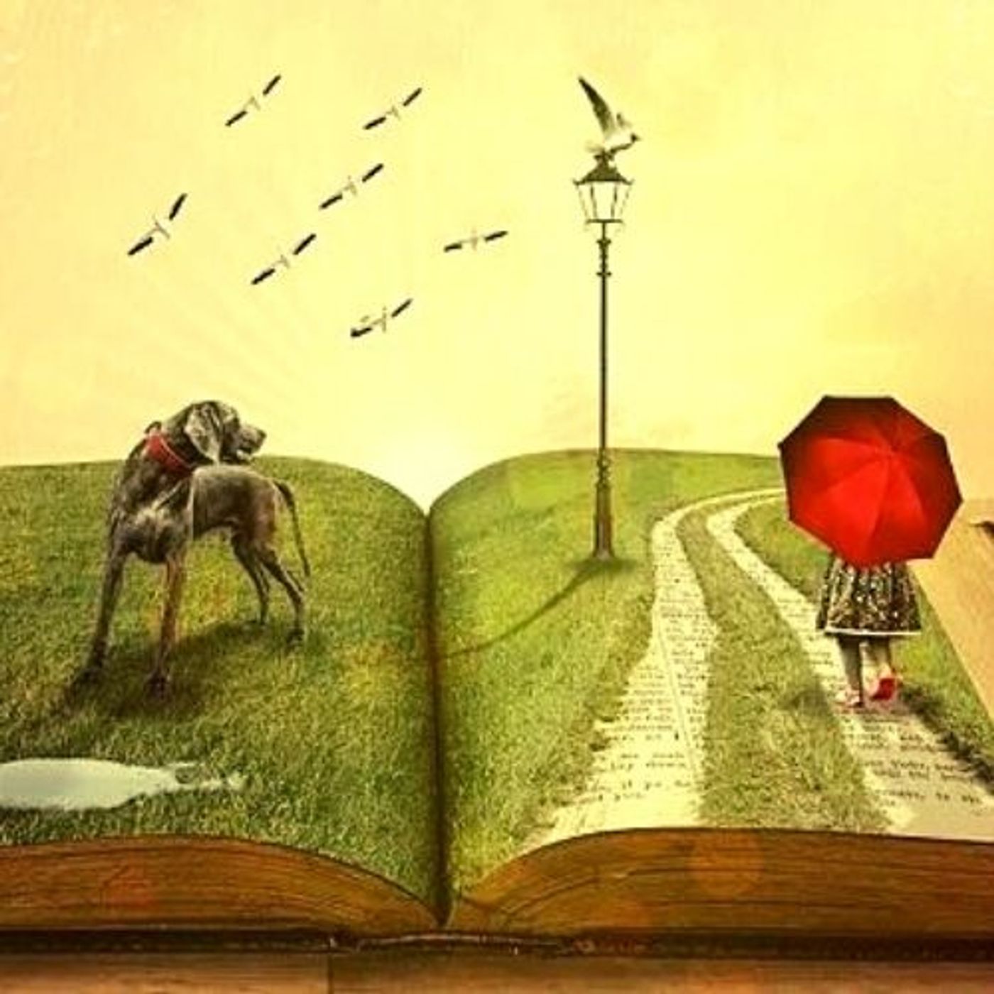 Voci di scrittori