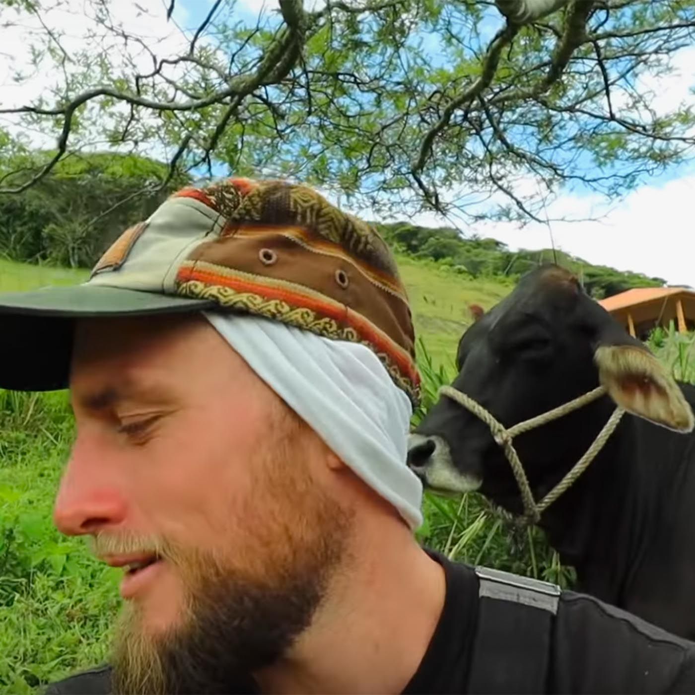 Why We Raise Animals for Food & How You Can Too