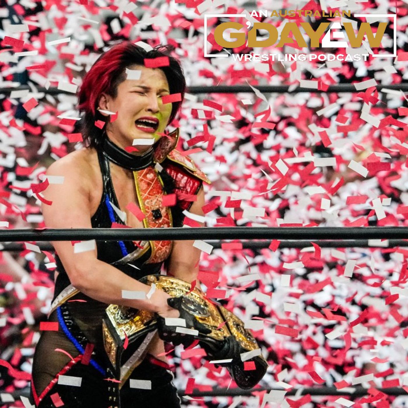 ALL IN finally has a main event, RVD arrives, Punk retains and Hikaru Shida wins! episode artwork