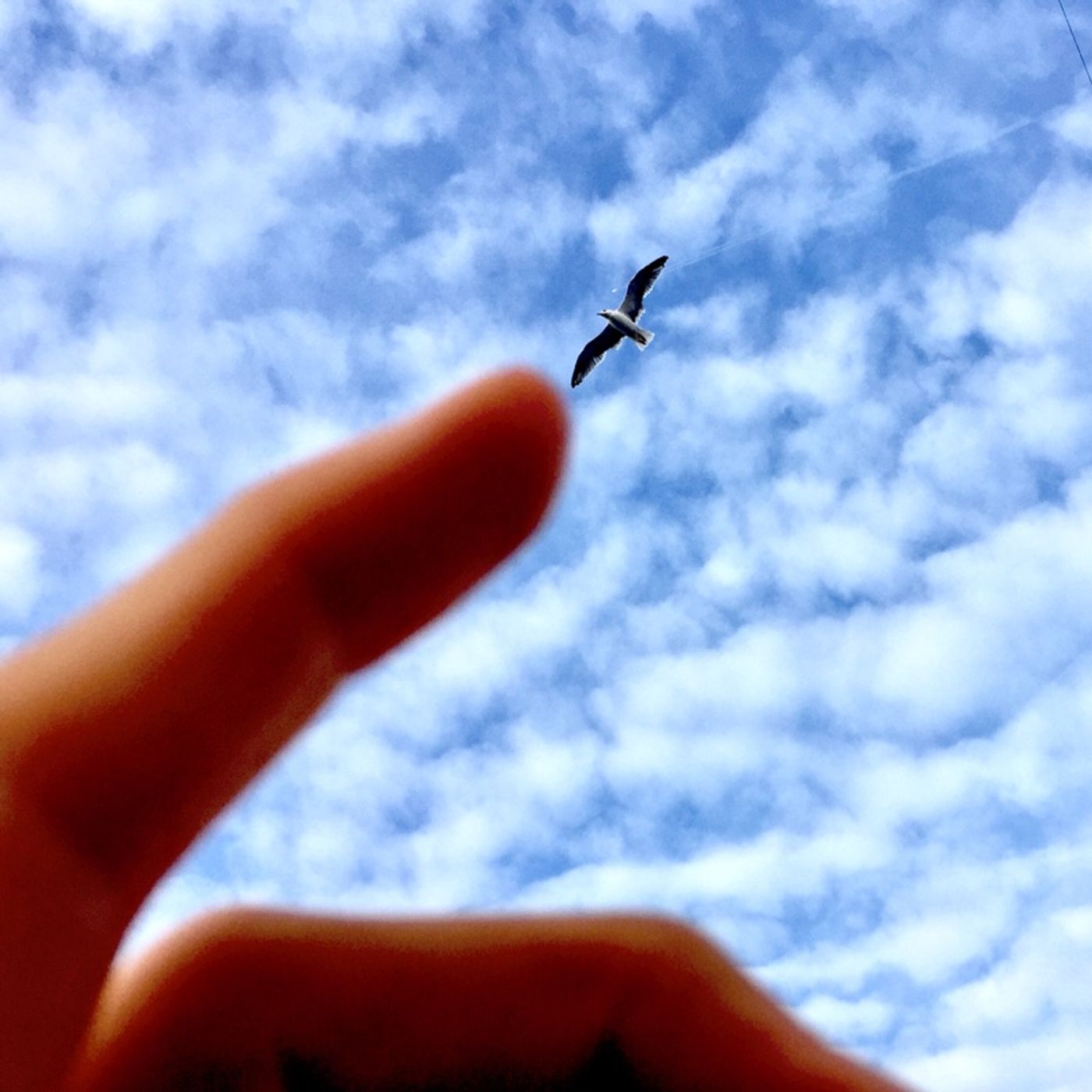 memo/let’s get lost