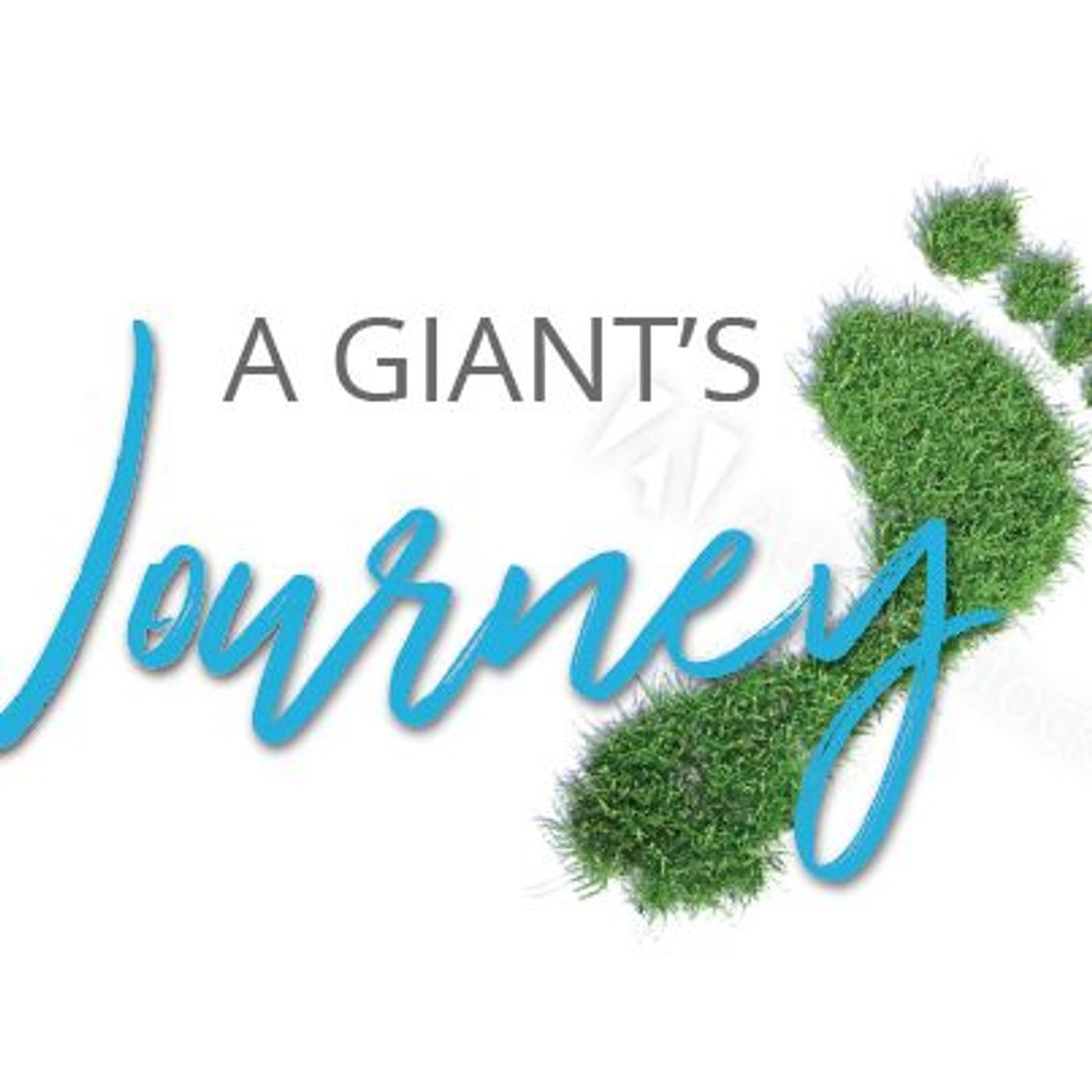 A Giants Journey