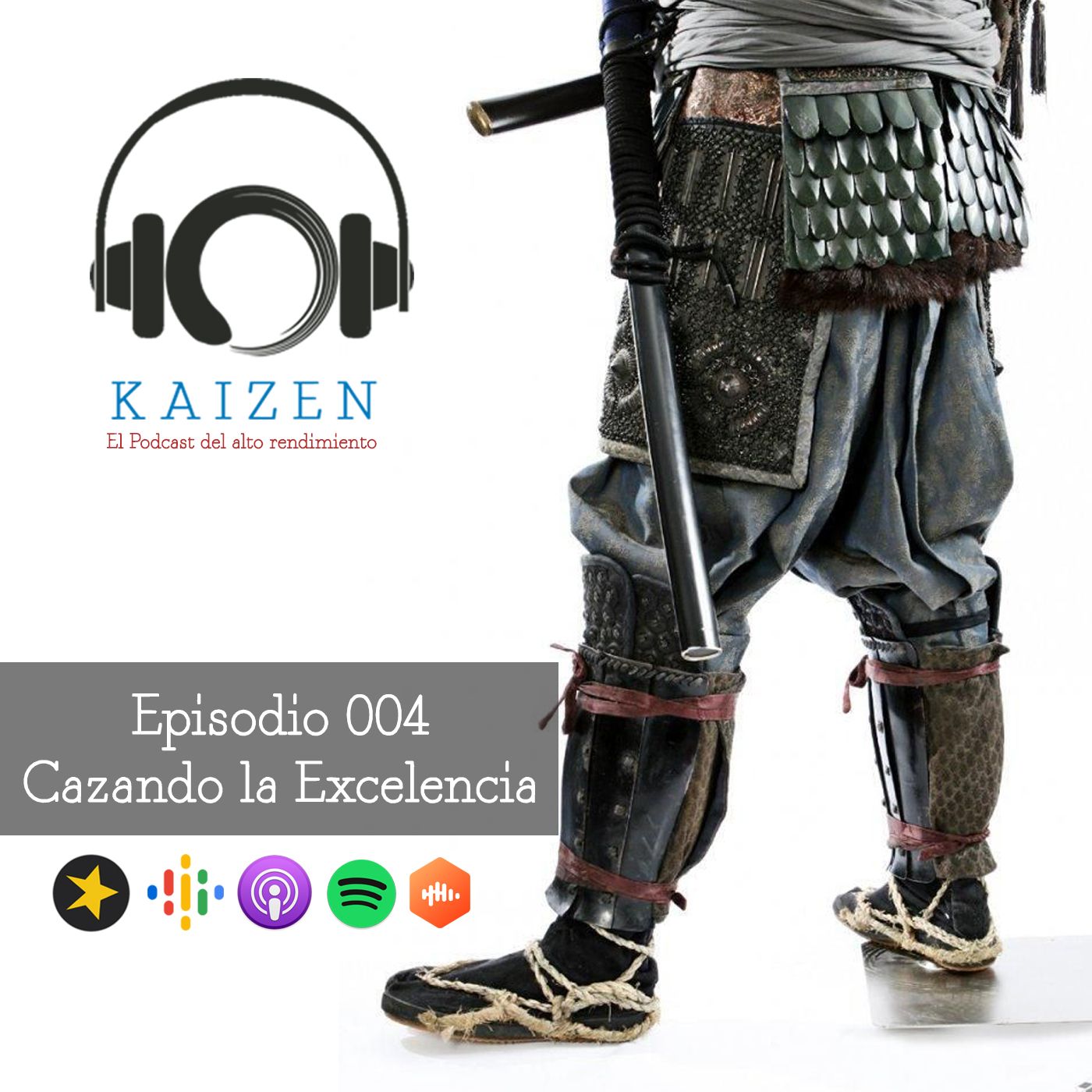 Proyecto Kaizen
