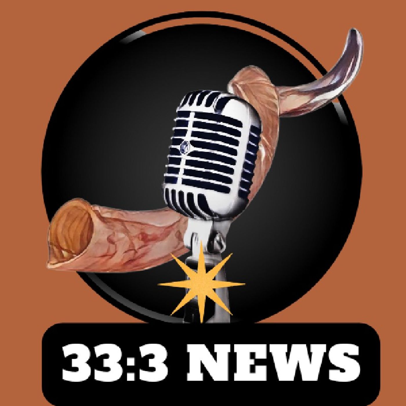 33:3 News