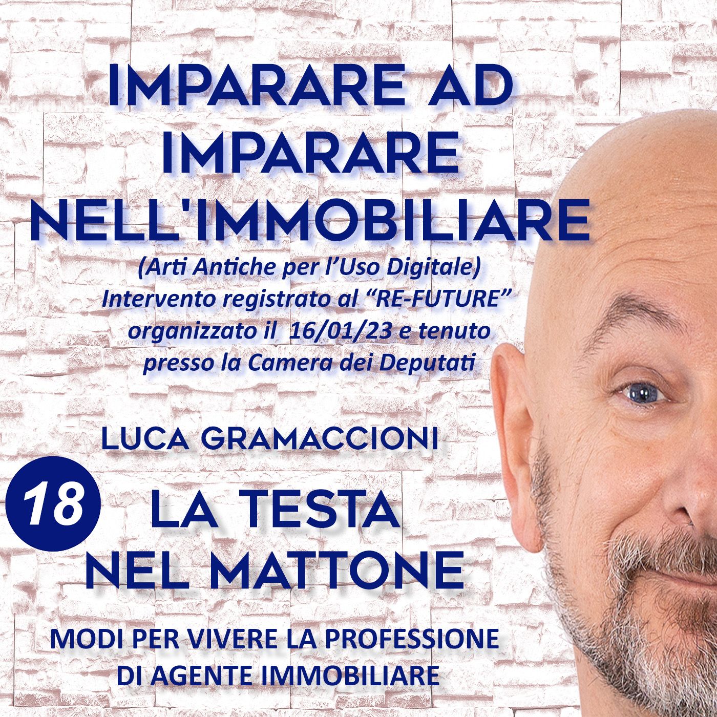 LA TESTA NEL MATTONE