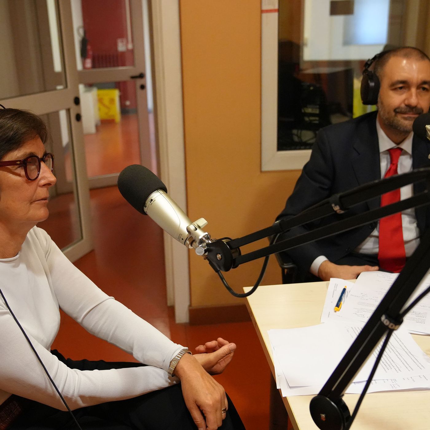 Elezioni della Rettrice/del Rettore, ai microfoni con Raffaele Caterina e Paola Sacchi episode artwork