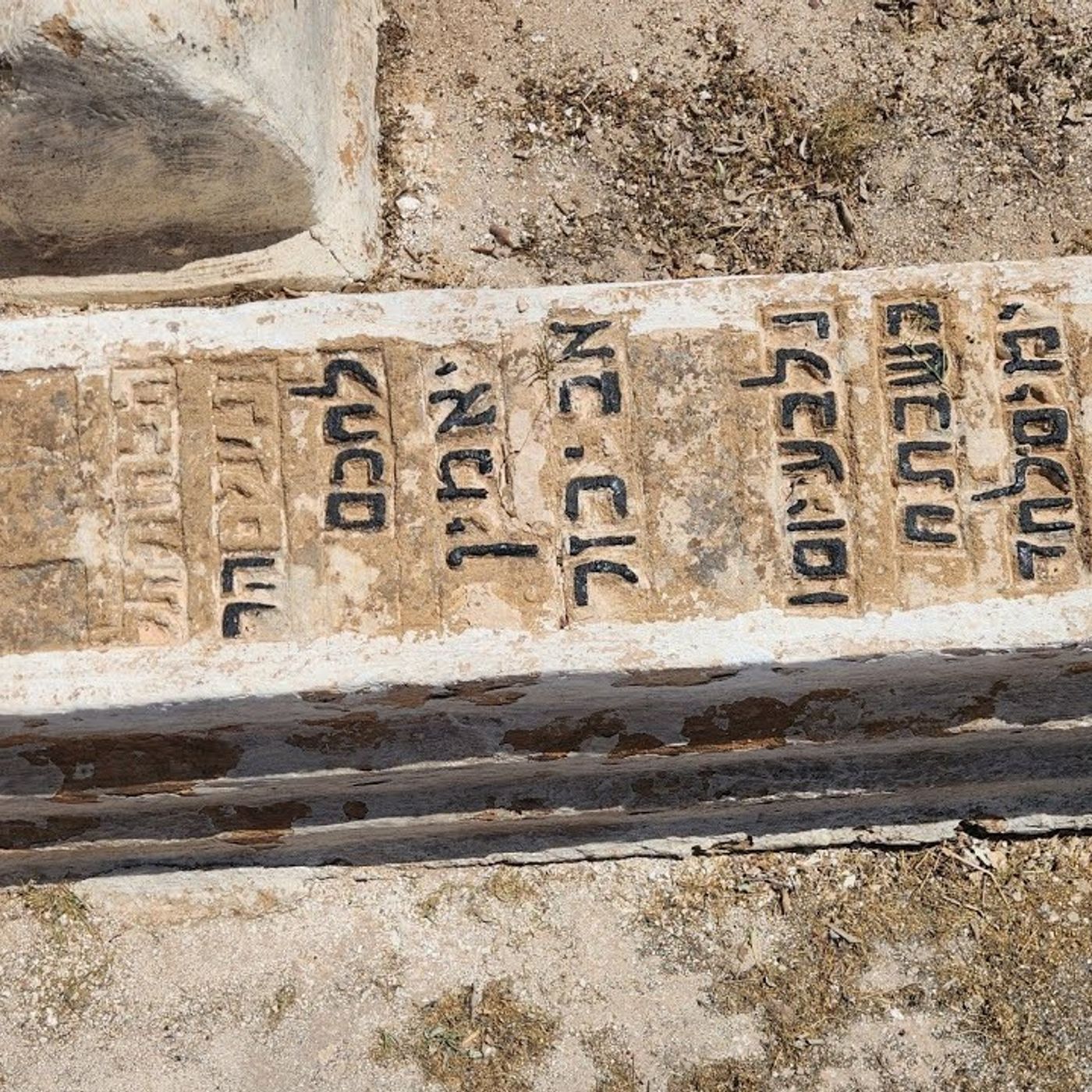 סגולת פרסה של סוס. רב פעלים 15 episode artwork