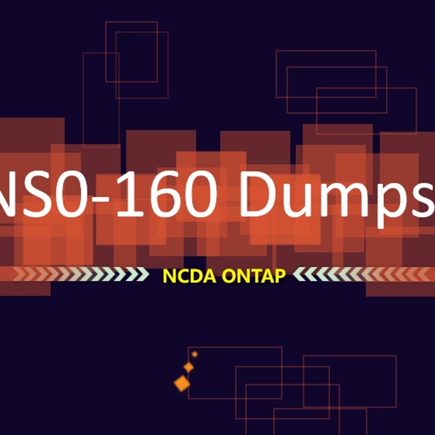 NCDA ONTAP NS0-160 Dumps