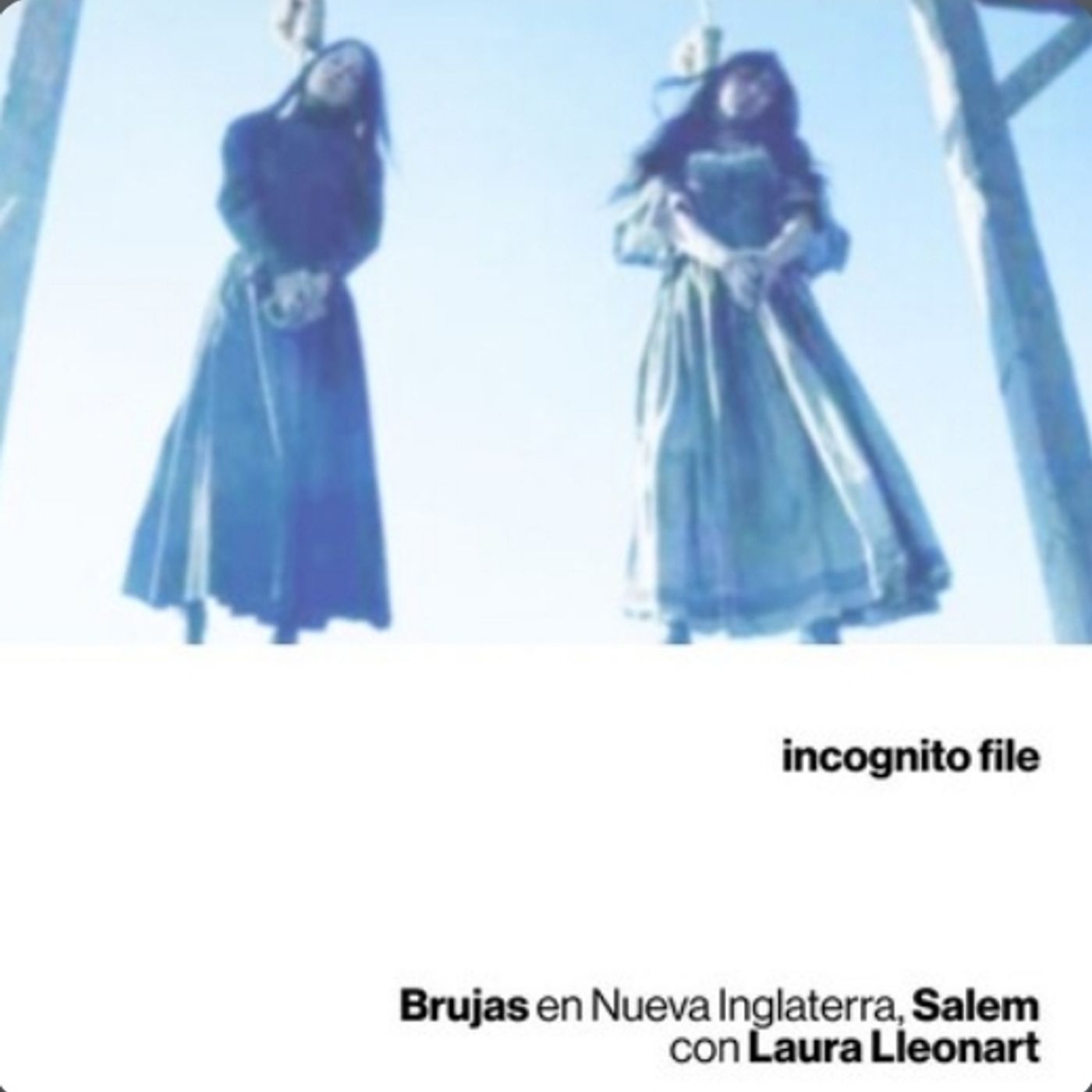 Portada de Incognito File