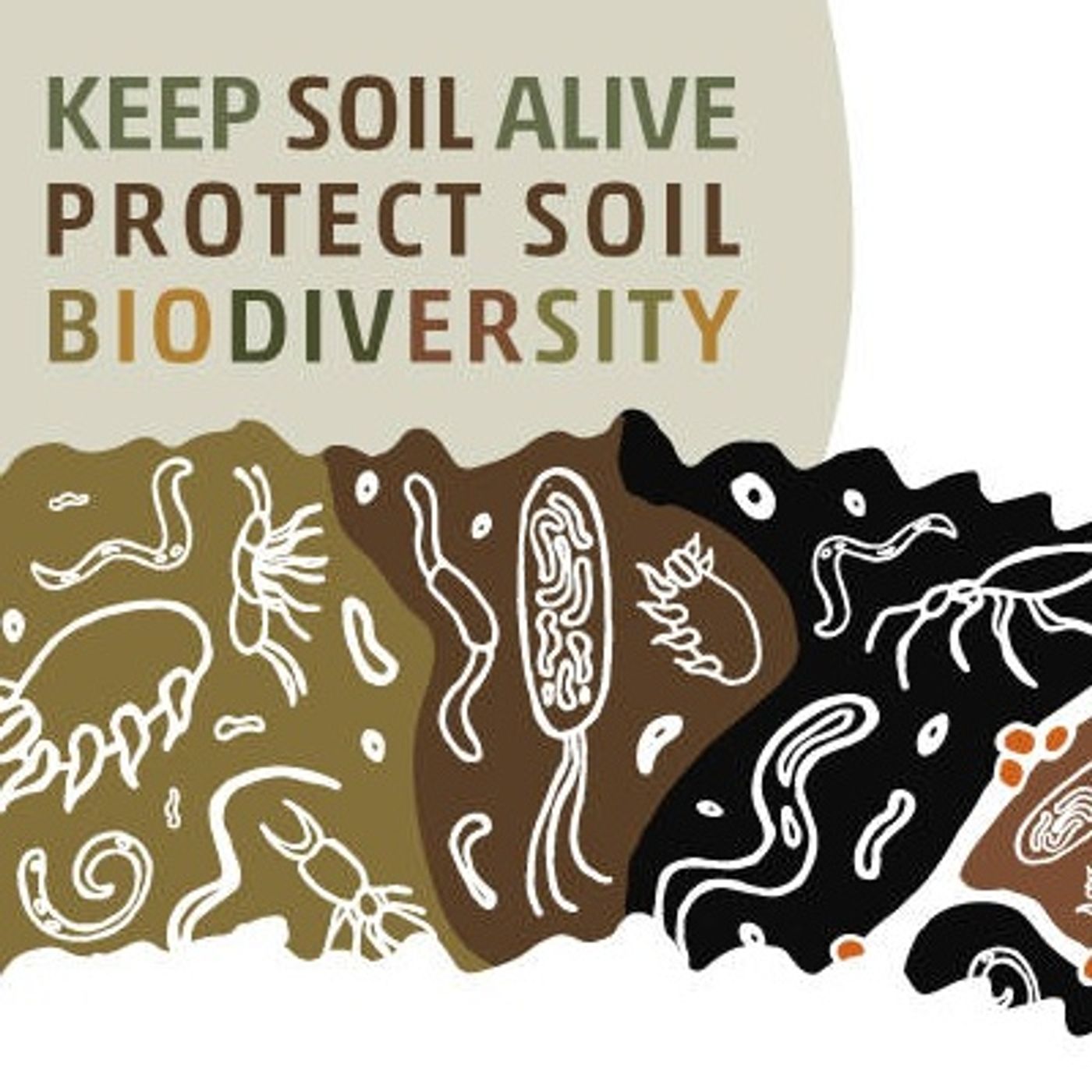 Le news di Re Soil Foundation