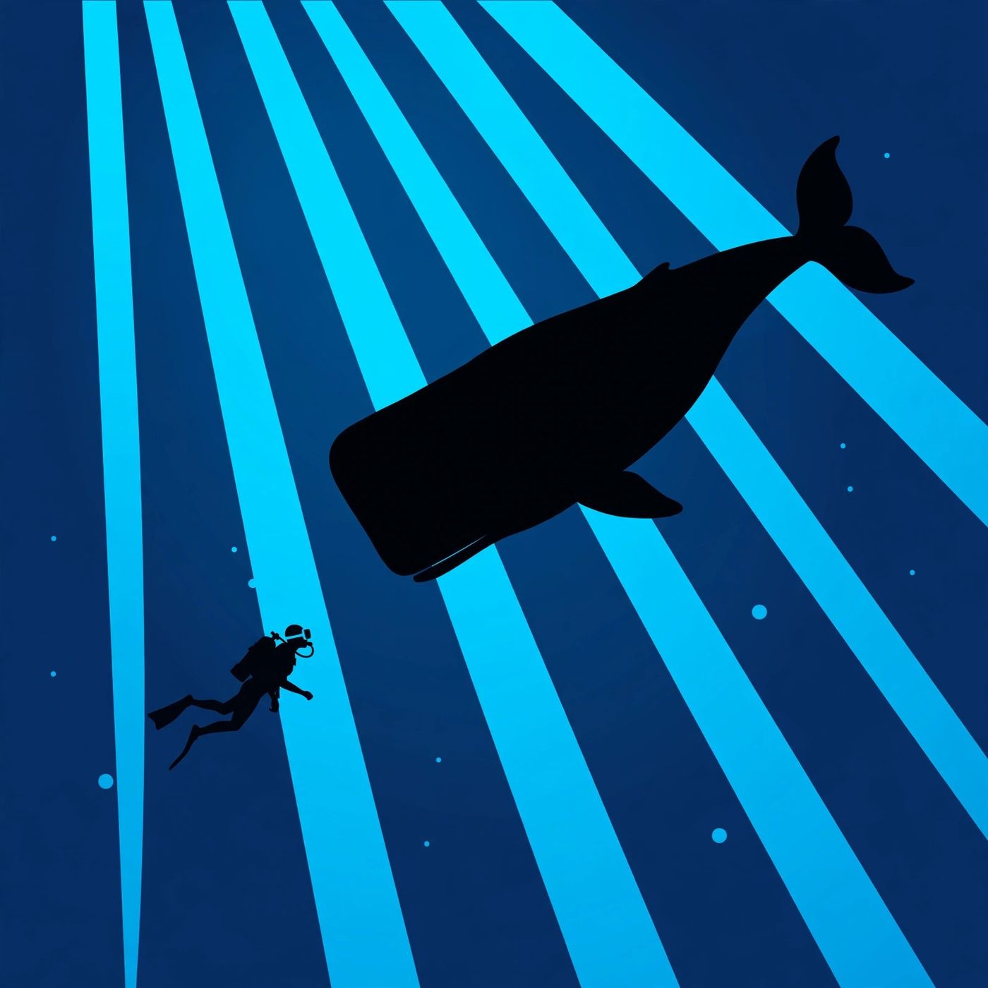 Whalefall: One Hour Inside a Whale