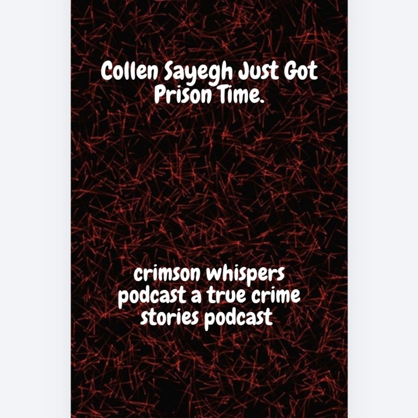 Collen Sayegh Just Got Prison Time episode artwork