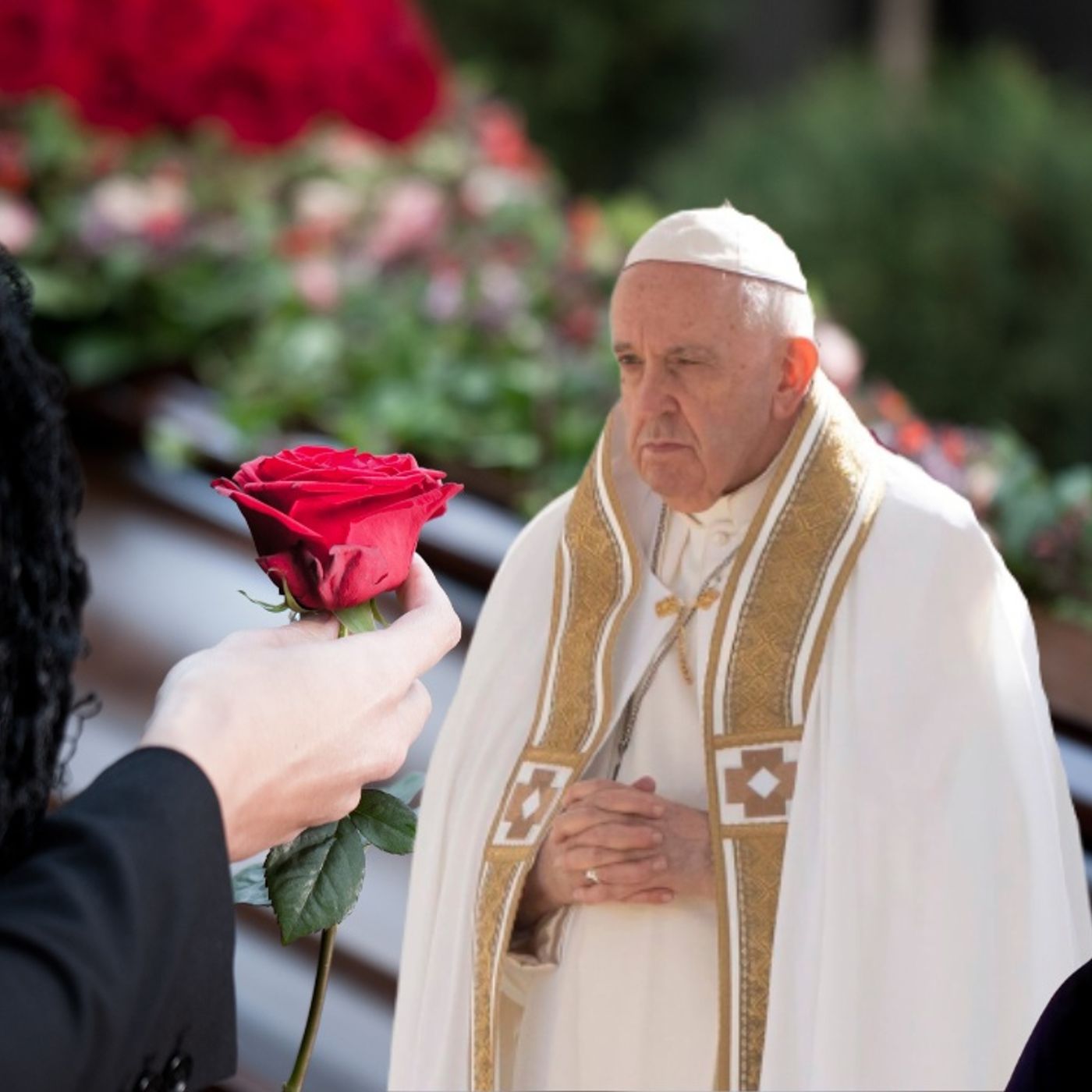 AYL. ❗❗🚨 ¡URGENTE! MISA EN SUFRAGIO DEL "PAPA FRANCISCO" 🚨🫢 ¿QUÉ ESTÁ PASANDO? episode artwork