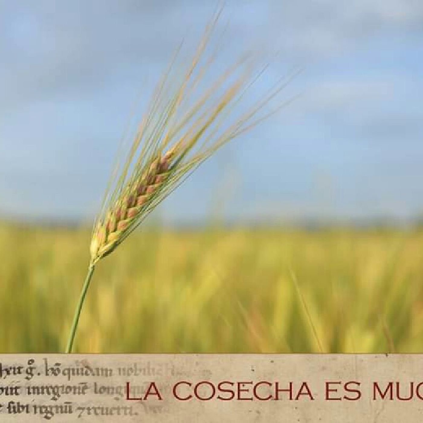 Cesar Alberto