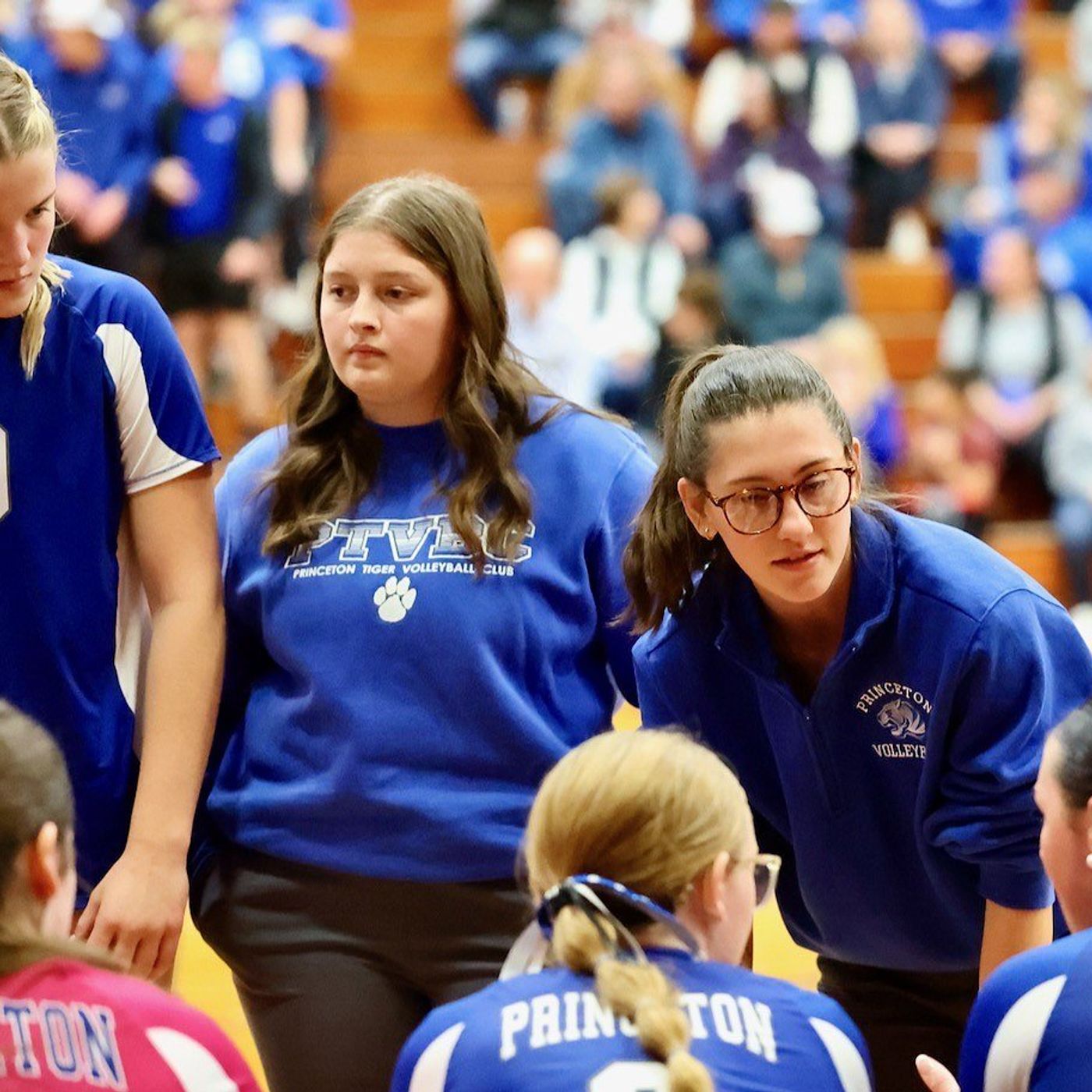Princeton volleyball restarts under new head coach episode artwork
