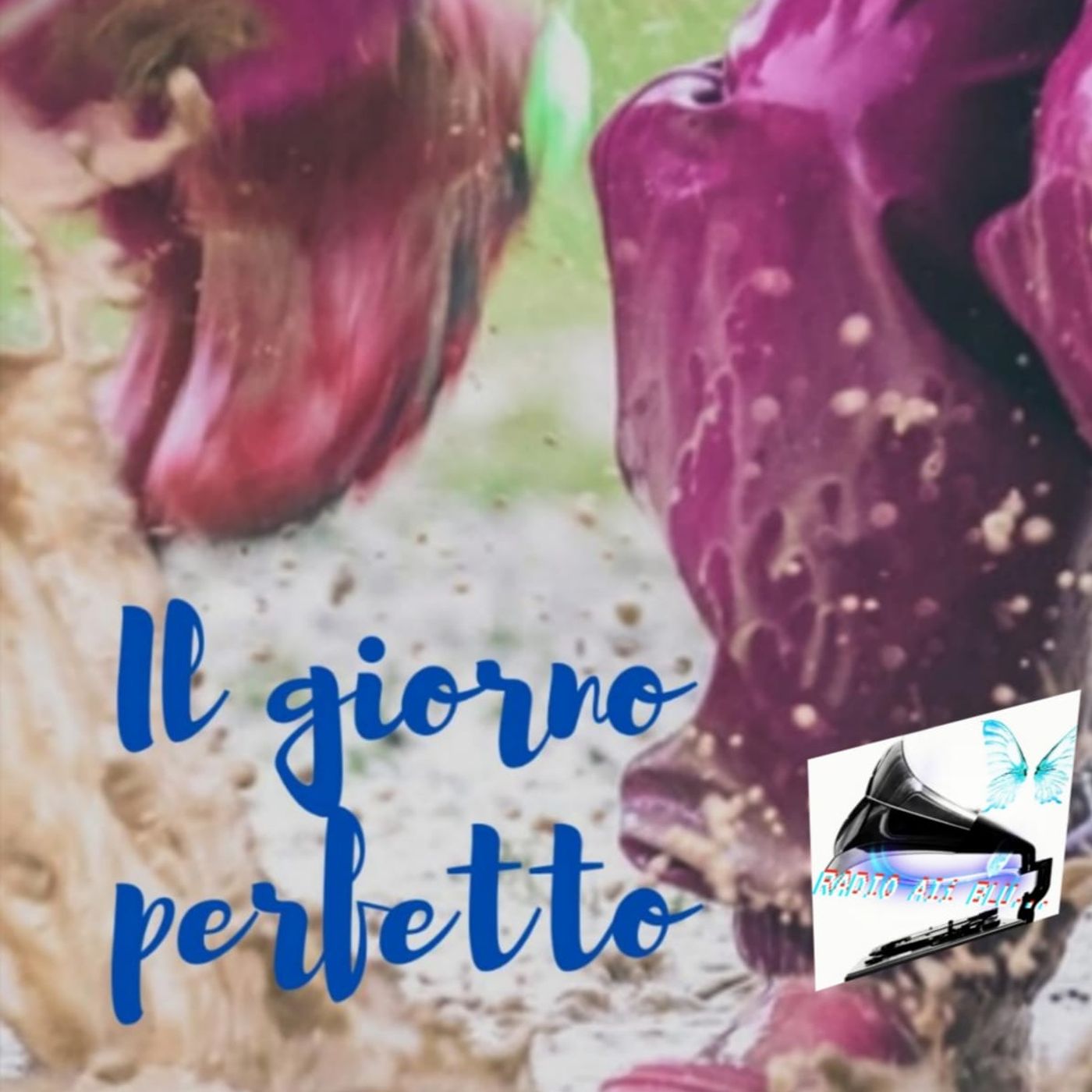 Radio Ali Blu... Il podcast delle emozioni!