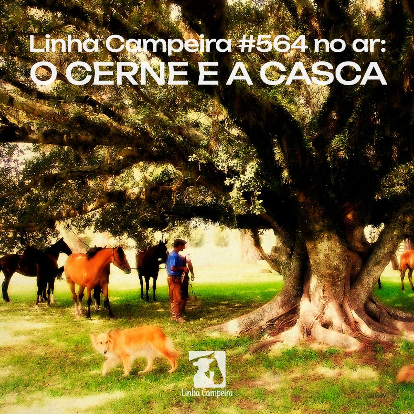 Episódio #564 - A Casca e o Cerne episode artwork