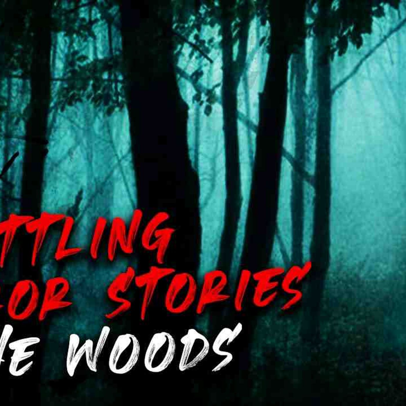 3 Unsettling Horror Stories in the Woods