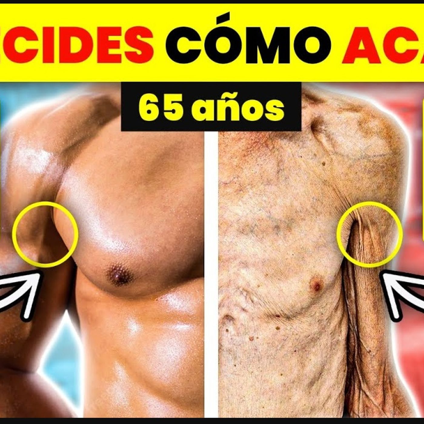 Te Enseño Cómo MANTENER tu MÚSCULO hasta LOS 80 (Evita la MORTAL SARCOPENIA)