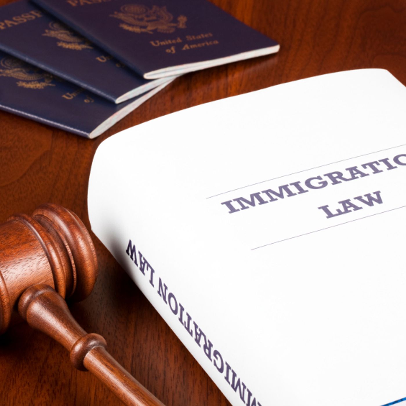 Immigration: Why Have Laws If You're Not Going to Enforce Them? + episode artwork