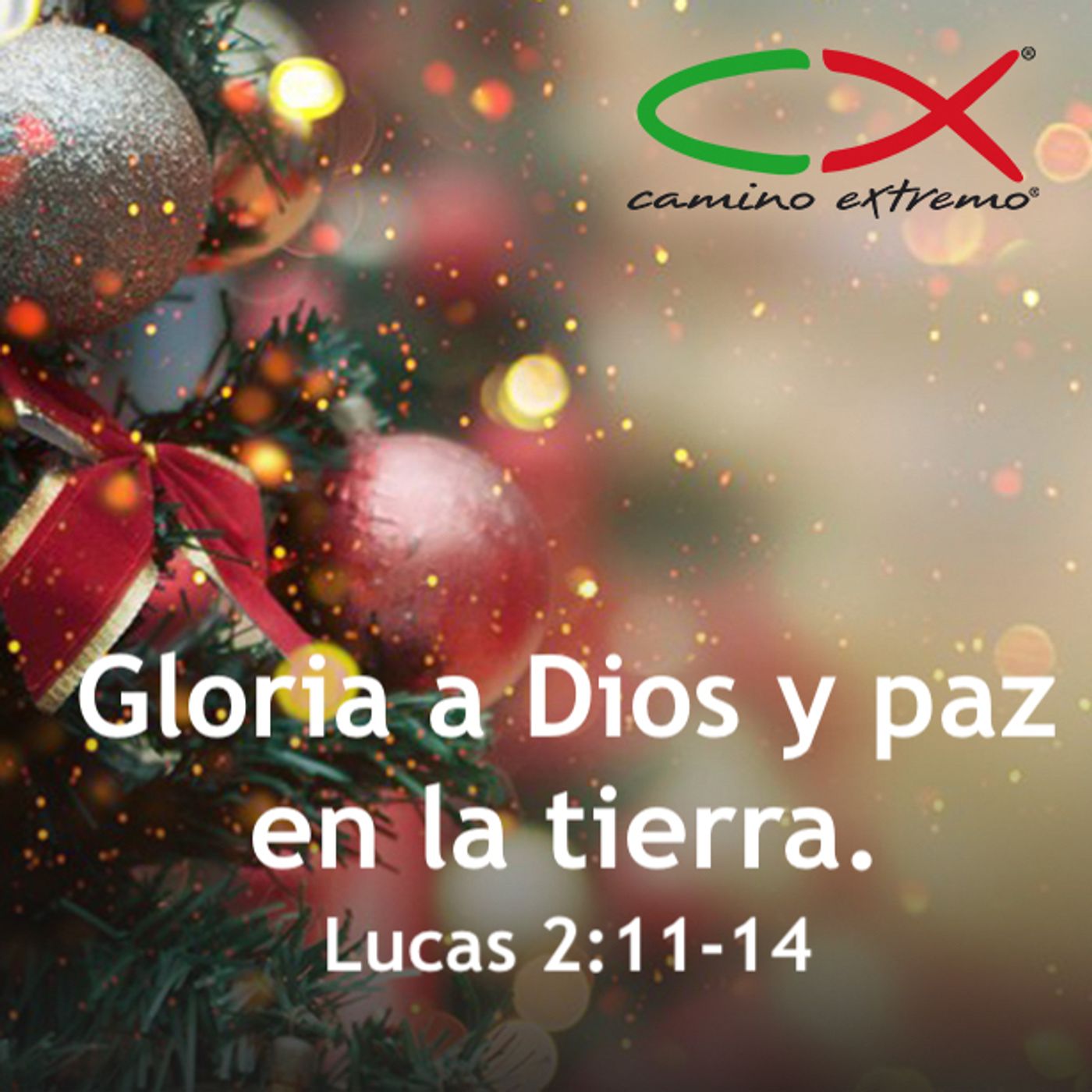 Oración 24 de diciembre (Gloria a Dios y paz en la tierra) episode artwork